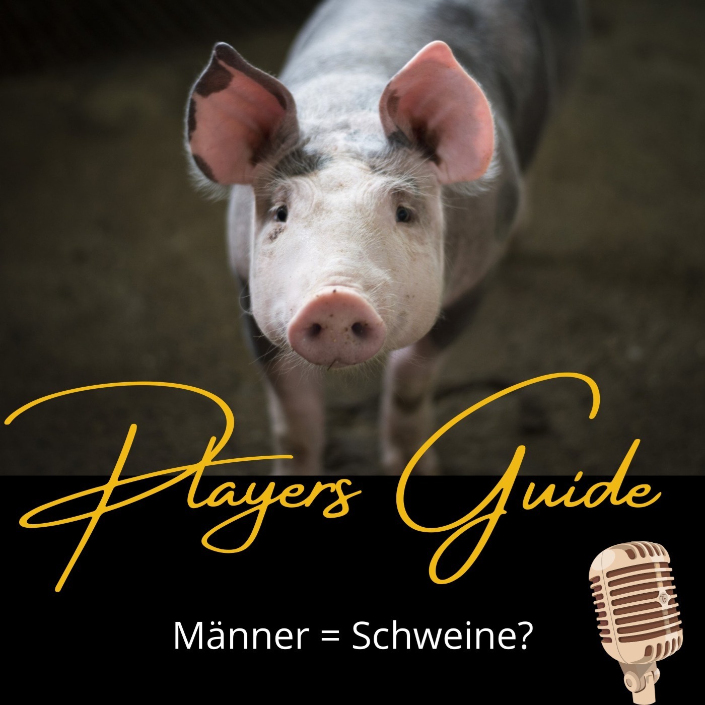 #23: Man(n) muss kein Arschloch sein und wie sich Frauenhass entwickelt episode artwork