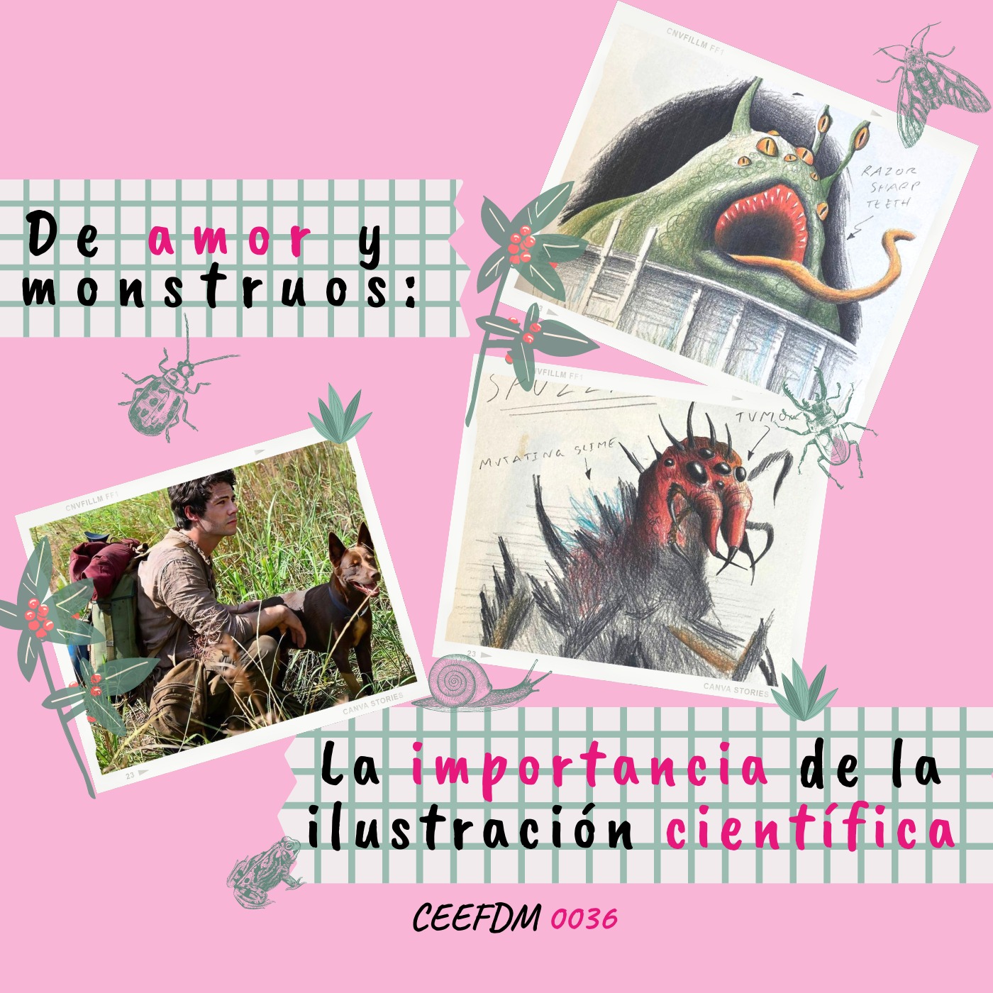 0036-De amor y monstruos y la importancia de la ilustración científica episode artwork
