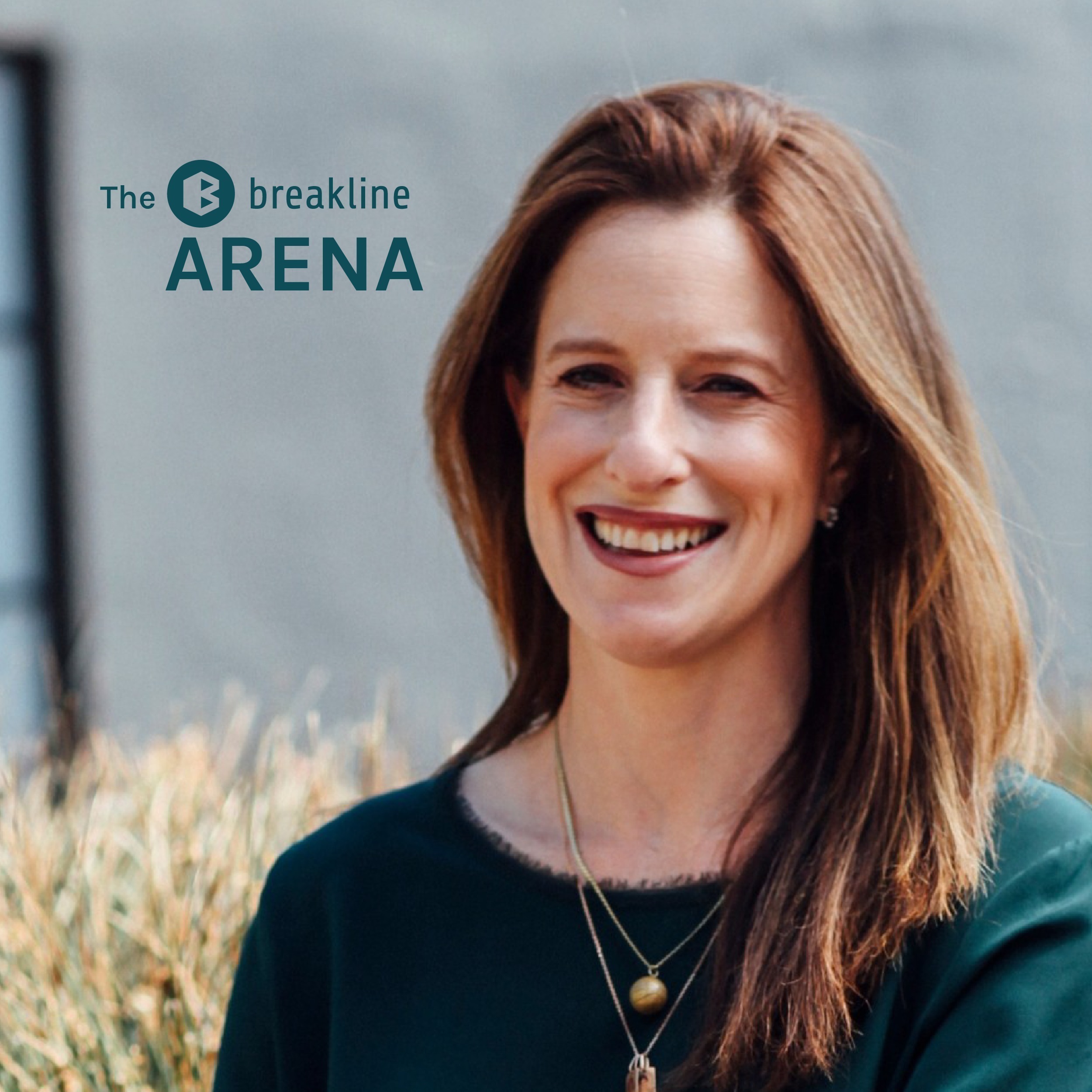 The BreakLine Arena