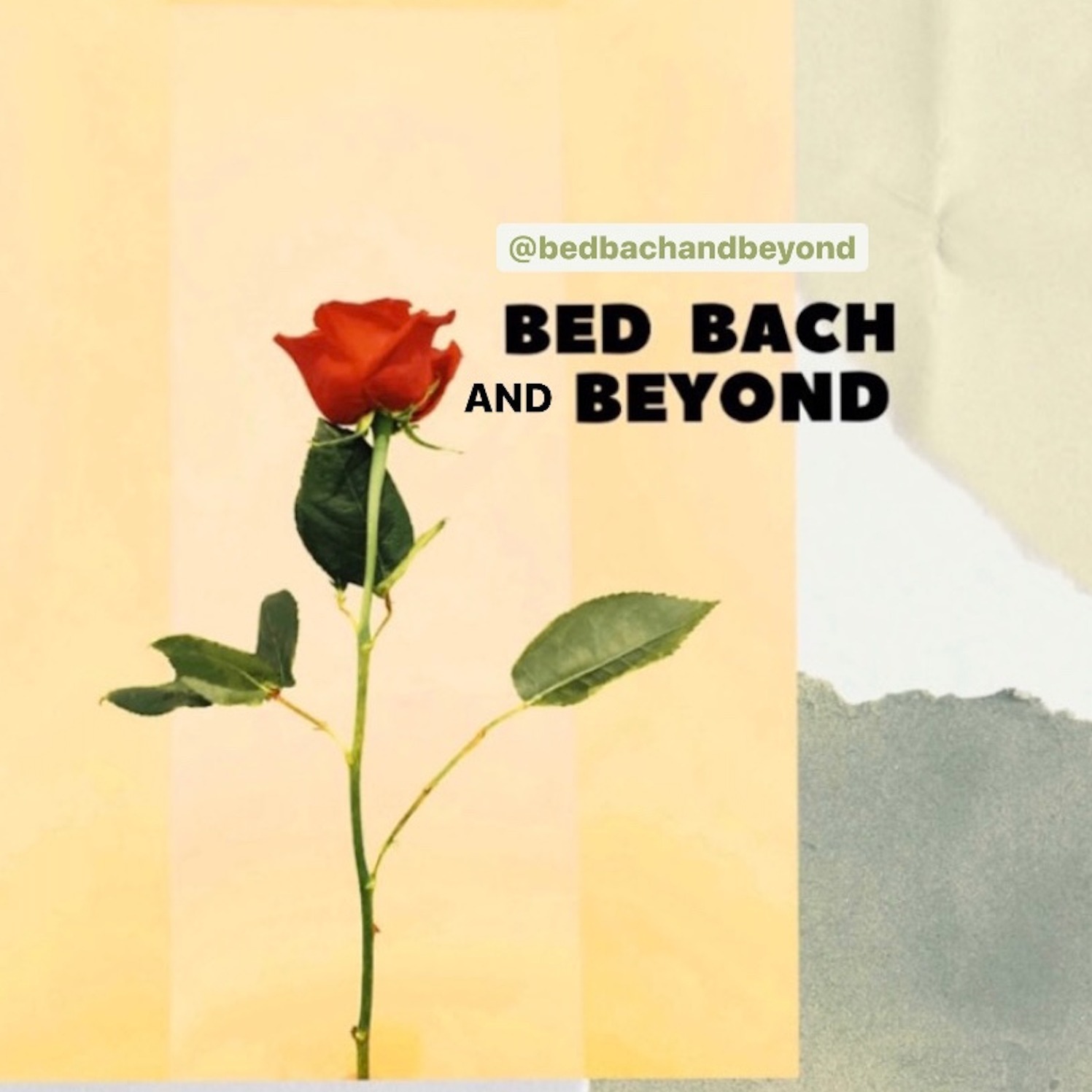 Bed Bach and Beyond
