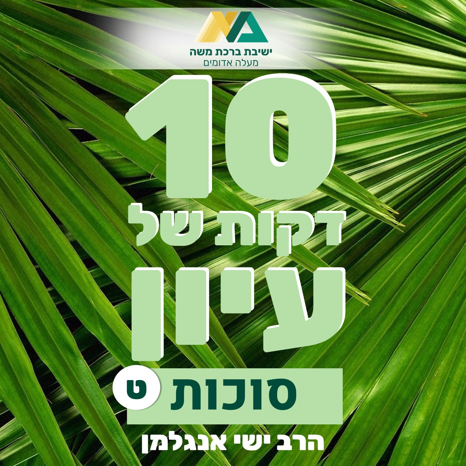 9 - קדושת עצי סוכה