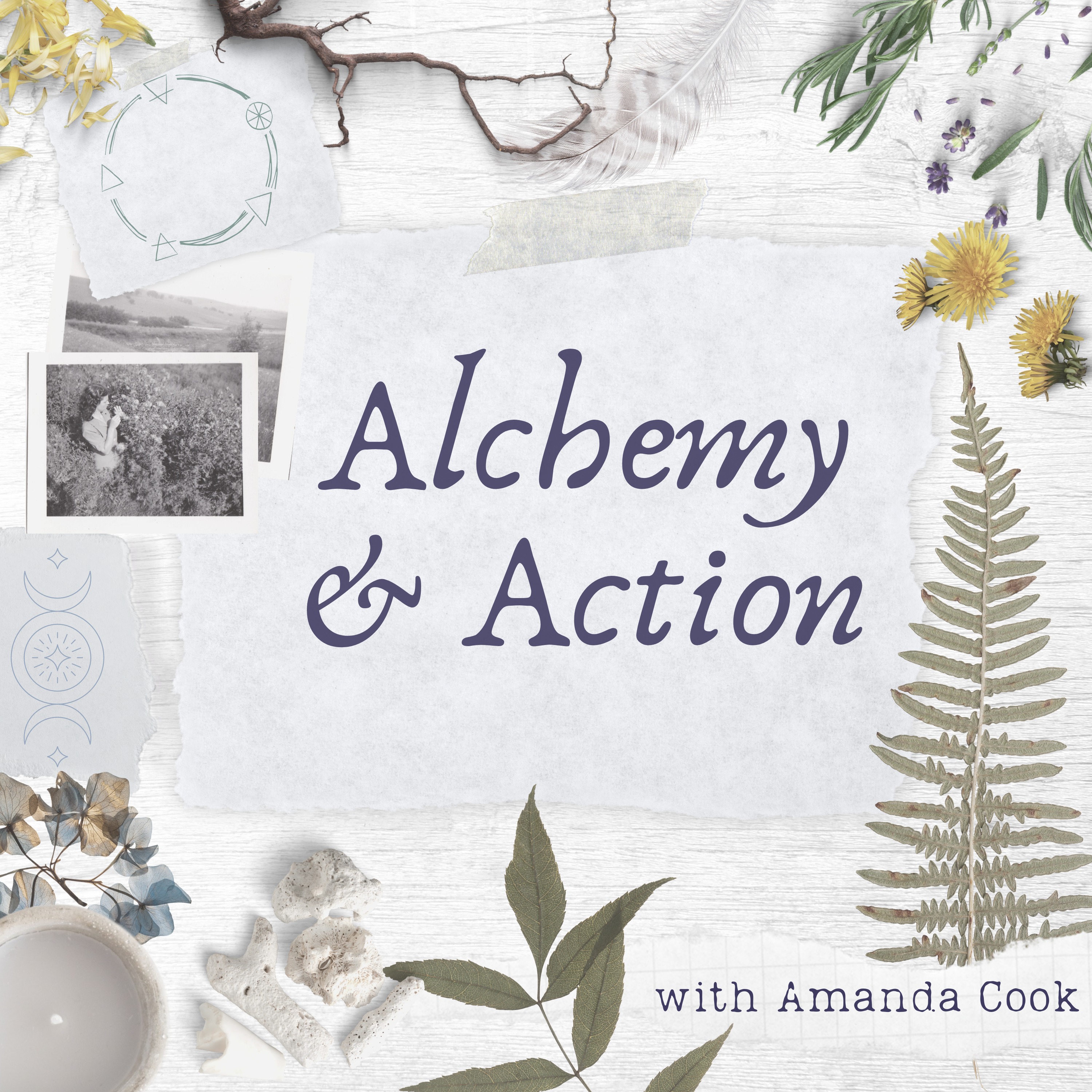Alchemy & Action (formerly Wellpreneur): Nature-based Personal Growth for High-Achieving Women podcast show image