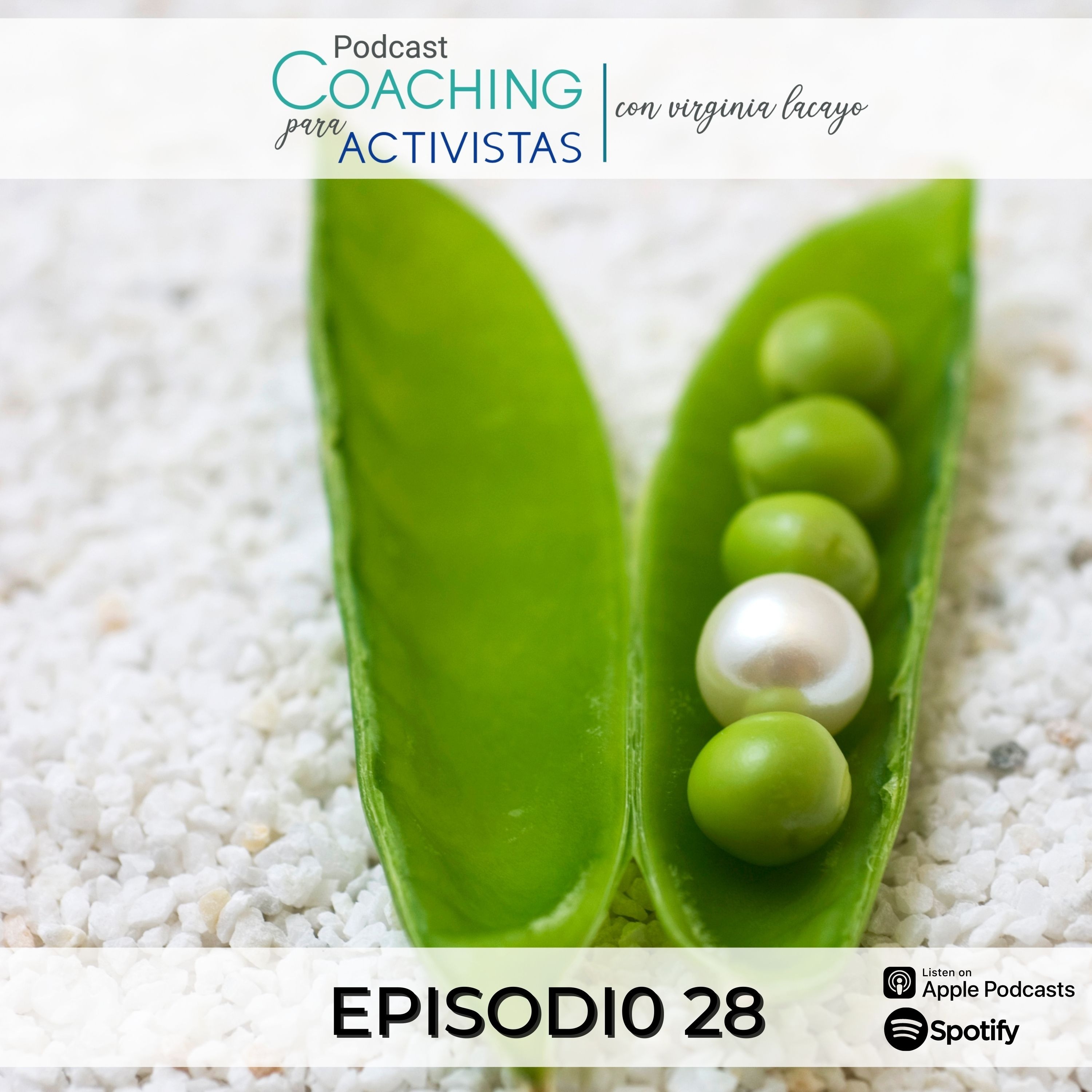 Indomable - Podcast con Virginia Lacayo
