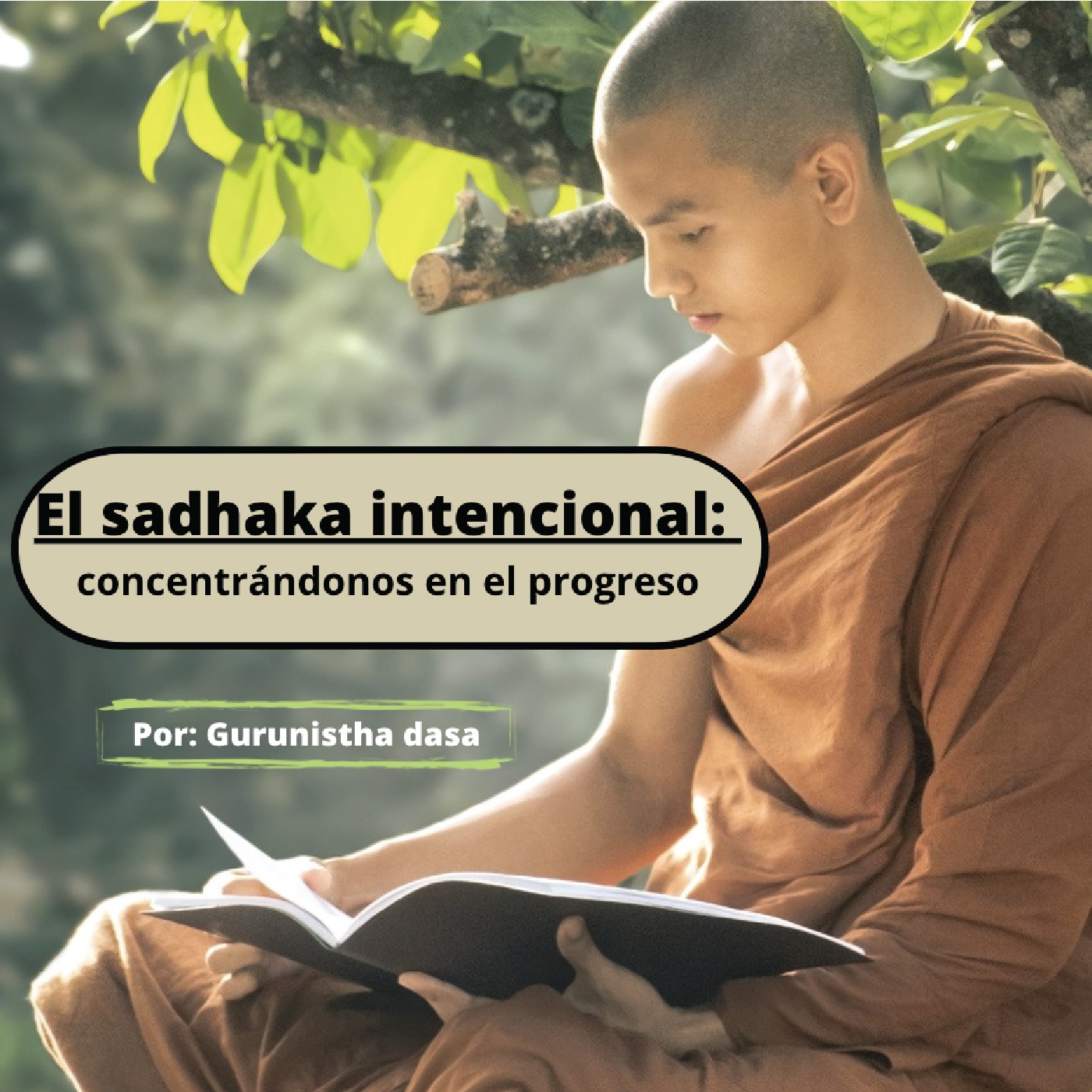2 - El sadhaka intencional: concentrándonos en el progreso - Gurunistha Dasa episode artwork