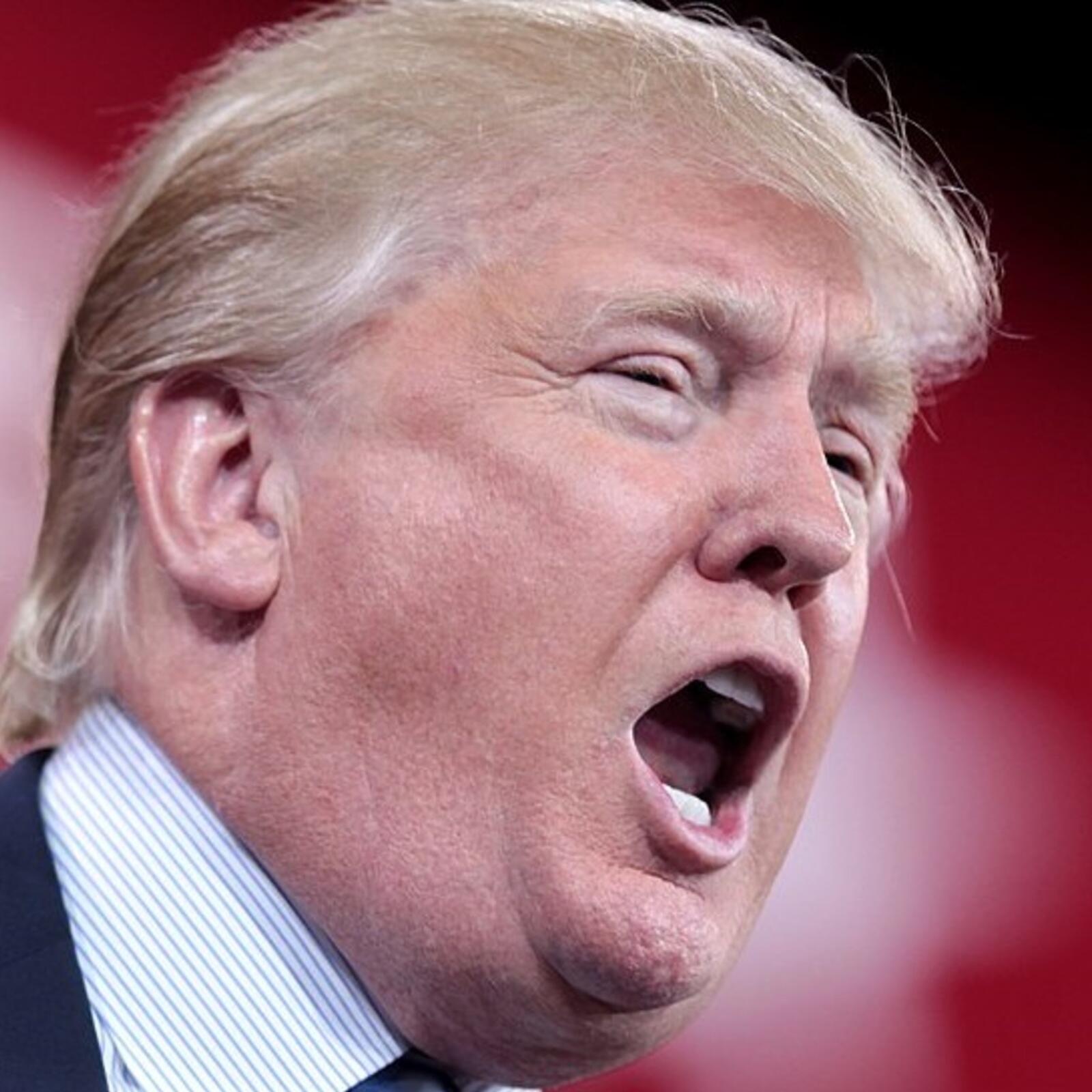 Donald Trump, the "Wounded Monster": David Bromwich episode artwork