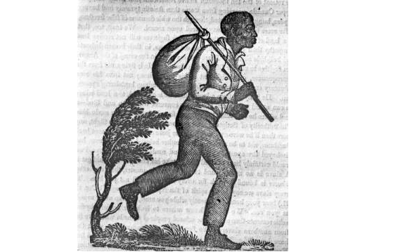 Sanctuary Cities and Resistance: Fugitive Slaves in the 1850s and ICE Raids Today: Andrew Delbanco episode artwork