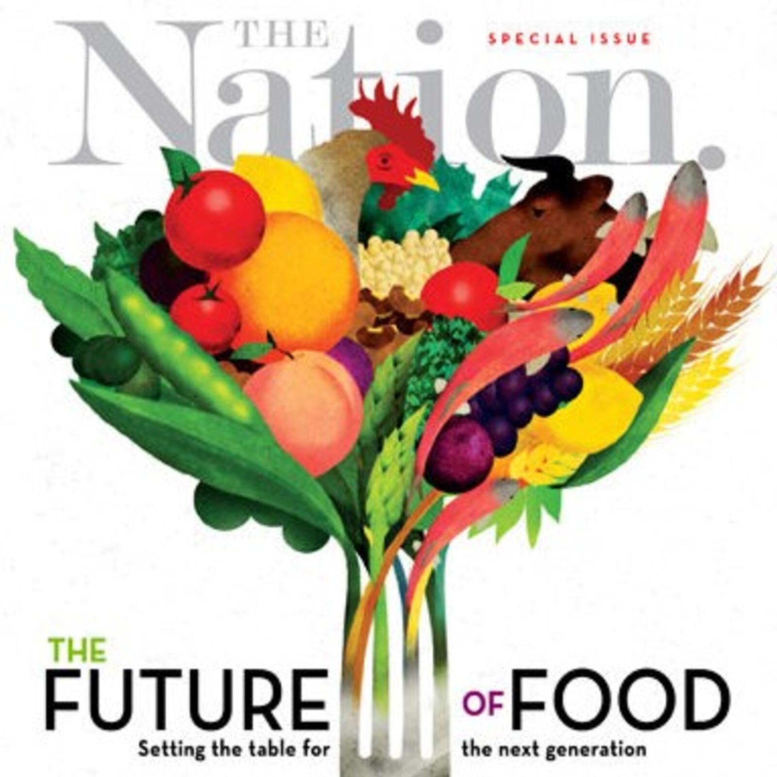 The Trouble with Cheap Food: Raj Patel episode artwork