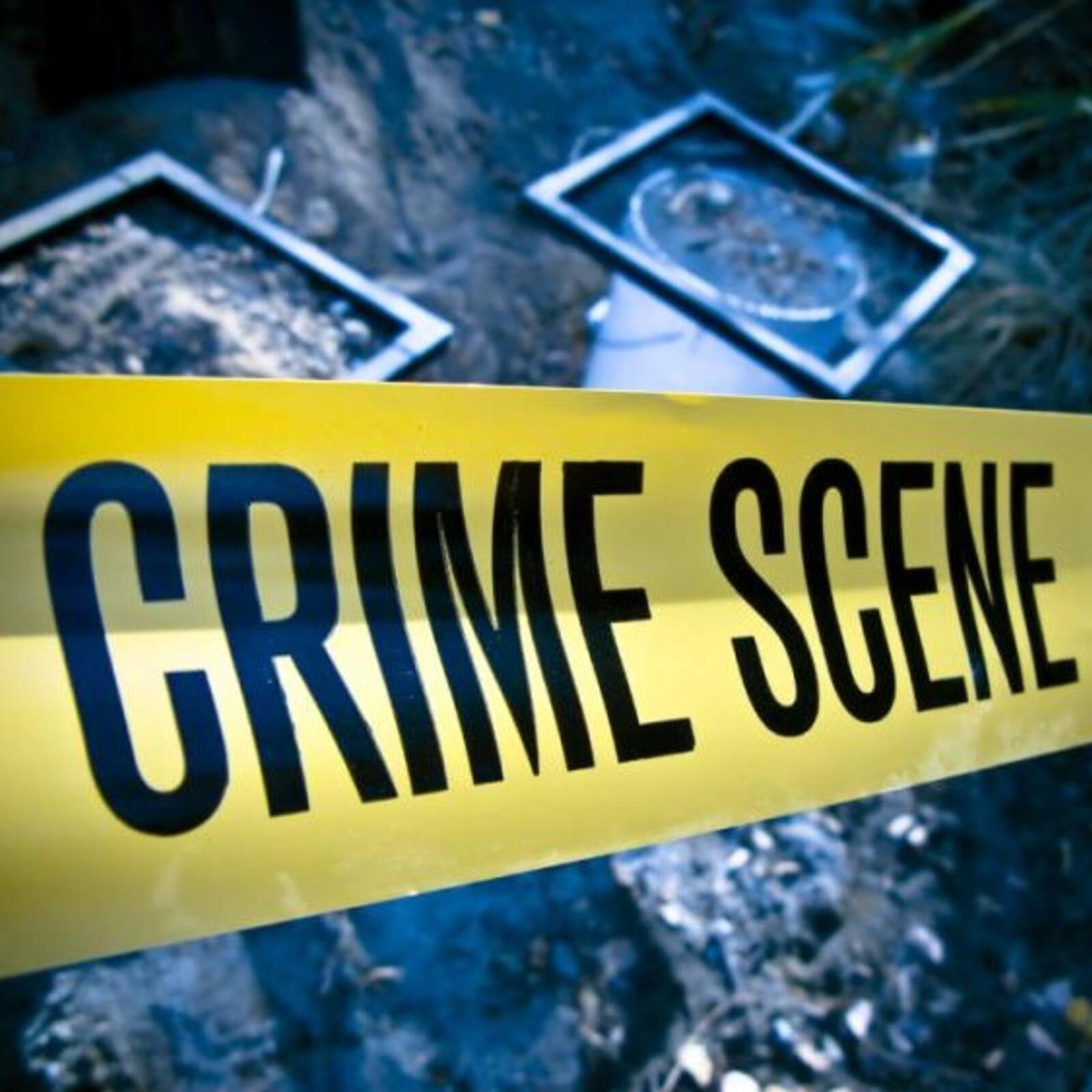 The Trouble With Forensics: Meehan Crist and Tim Requarth
