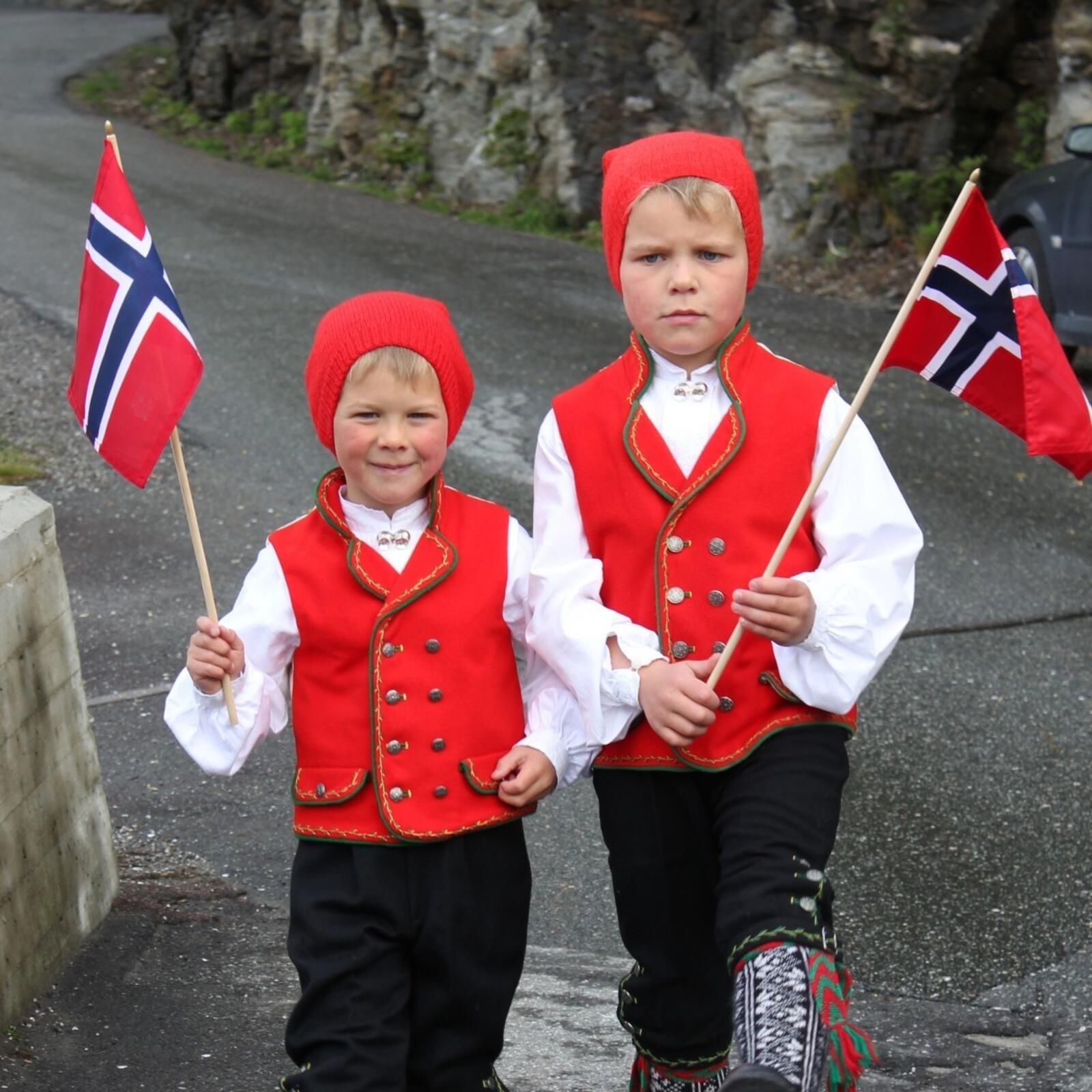 Norwegians—and Trump: Ann Jones episode artwork