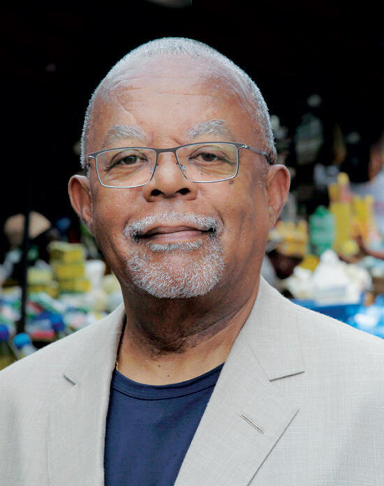 Henry Louis Gates: American Slavery and American Families episode artwork