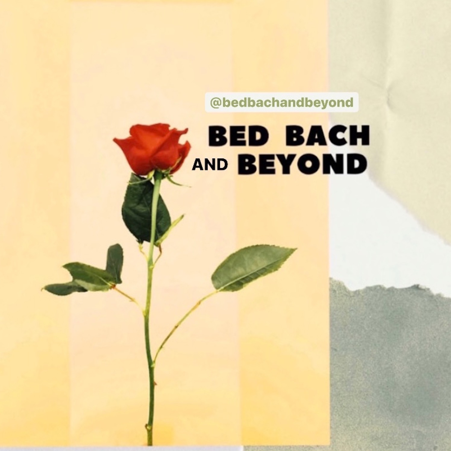 Bed Bach and Beyond