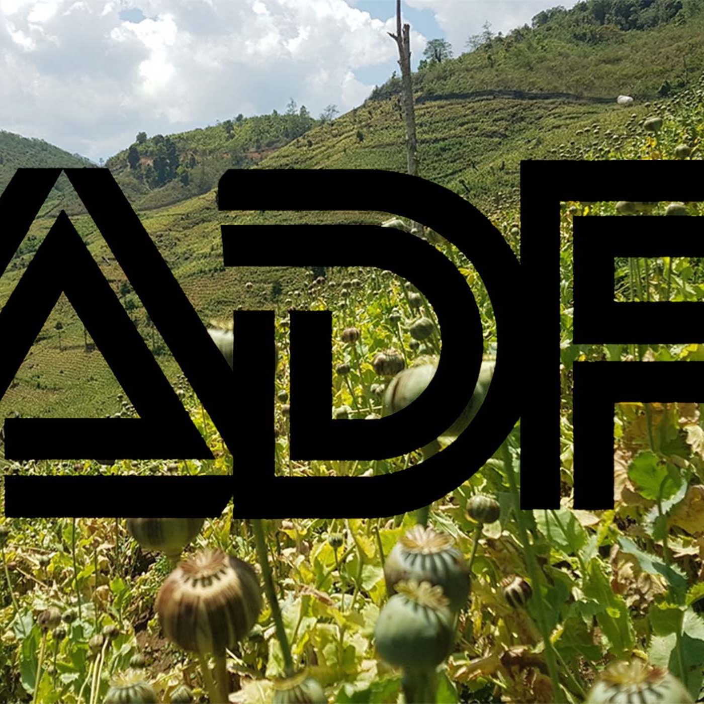 ADP vol 15