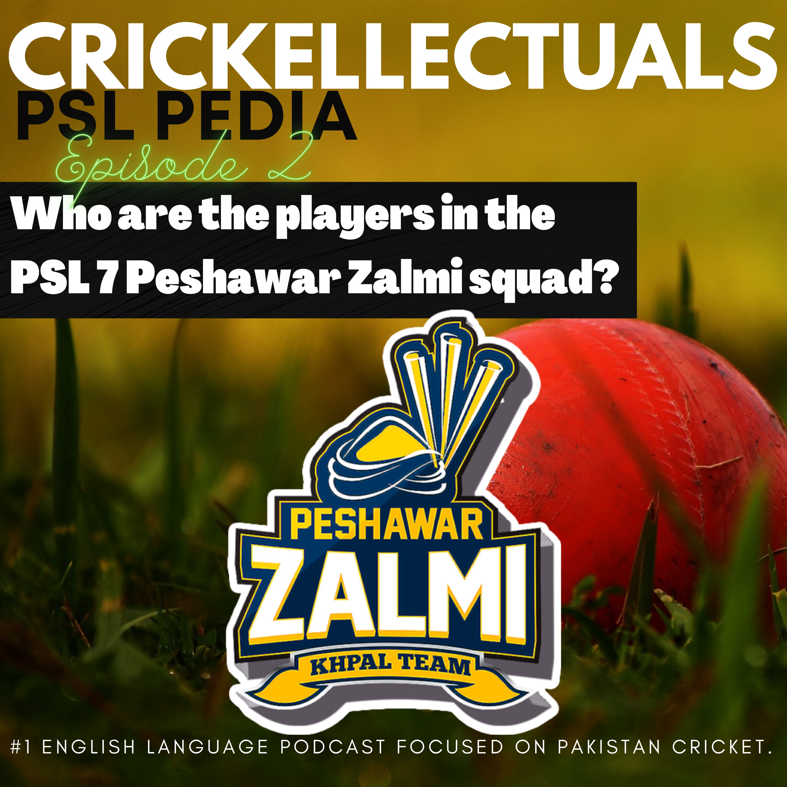 Crickellectuals A Pakistan Cricket Podcast