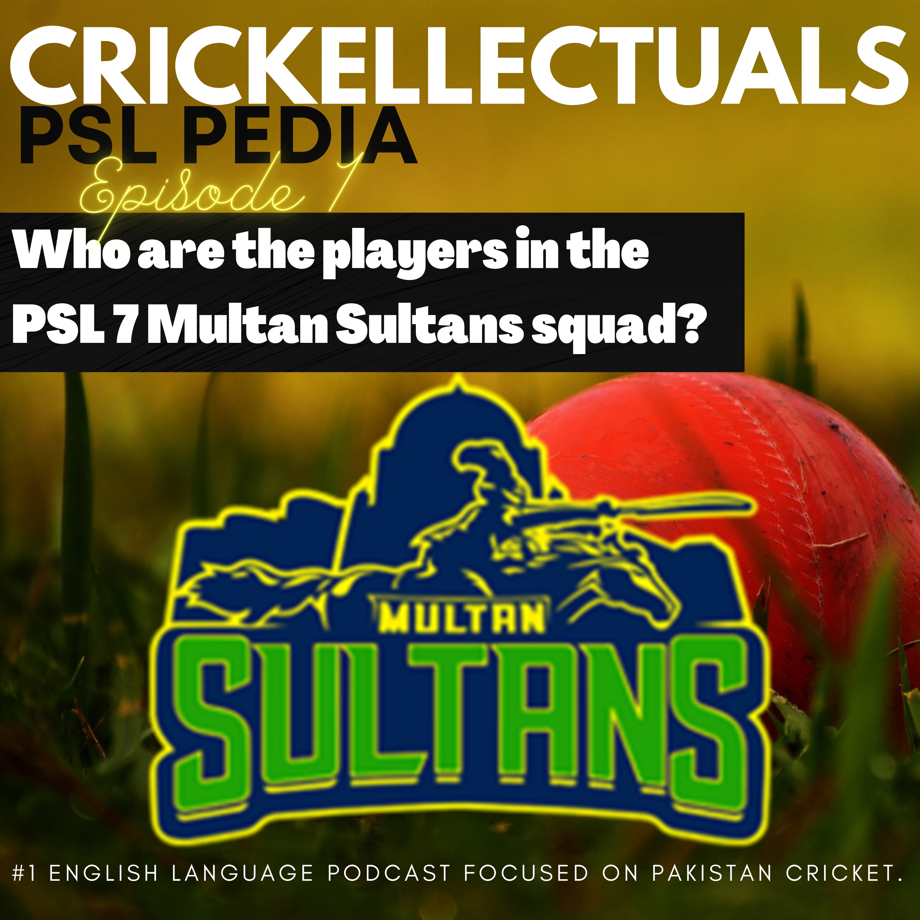 Crickellectuals A Pakistan Cricket Podcast