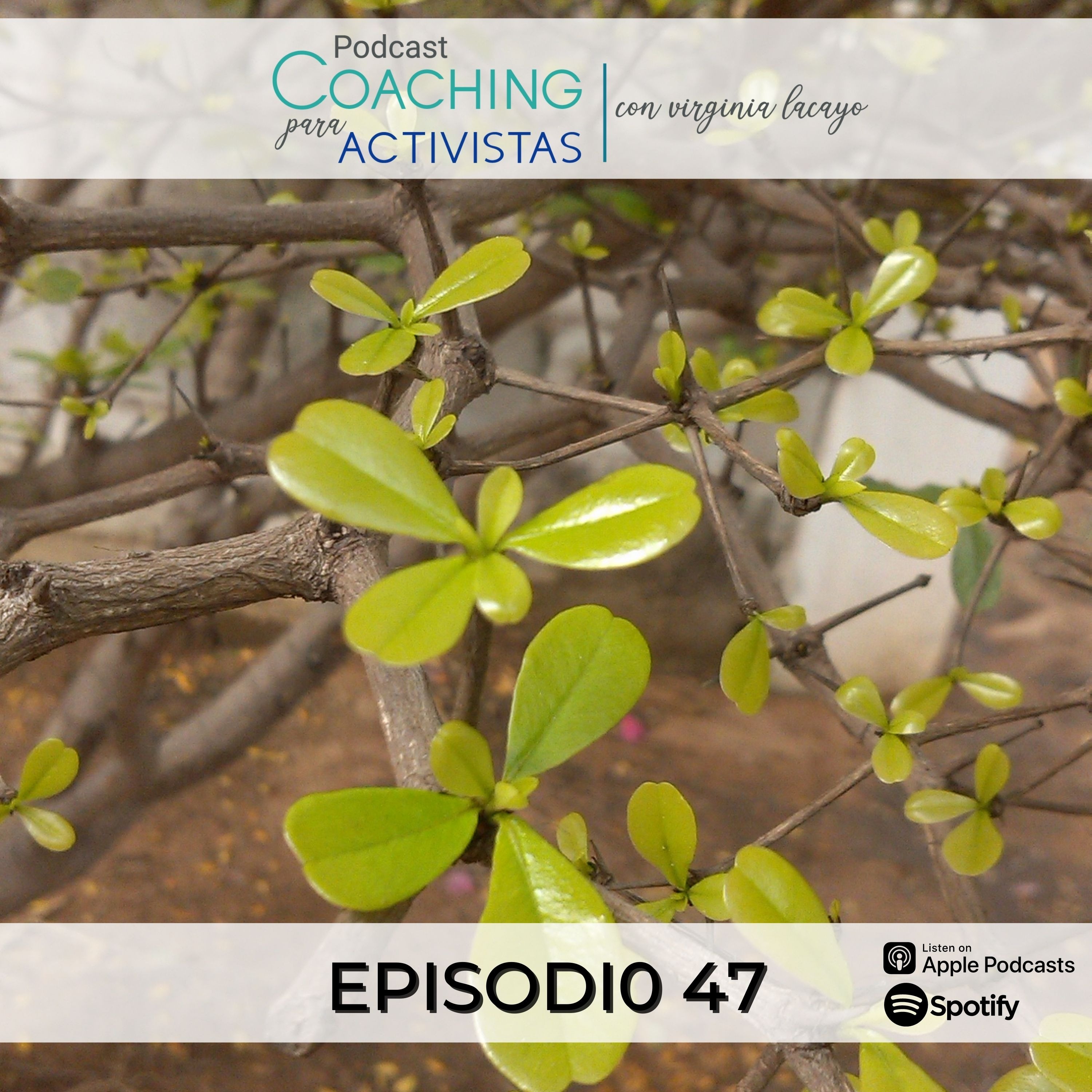Indomable - Podcast con Virginia Lacayo