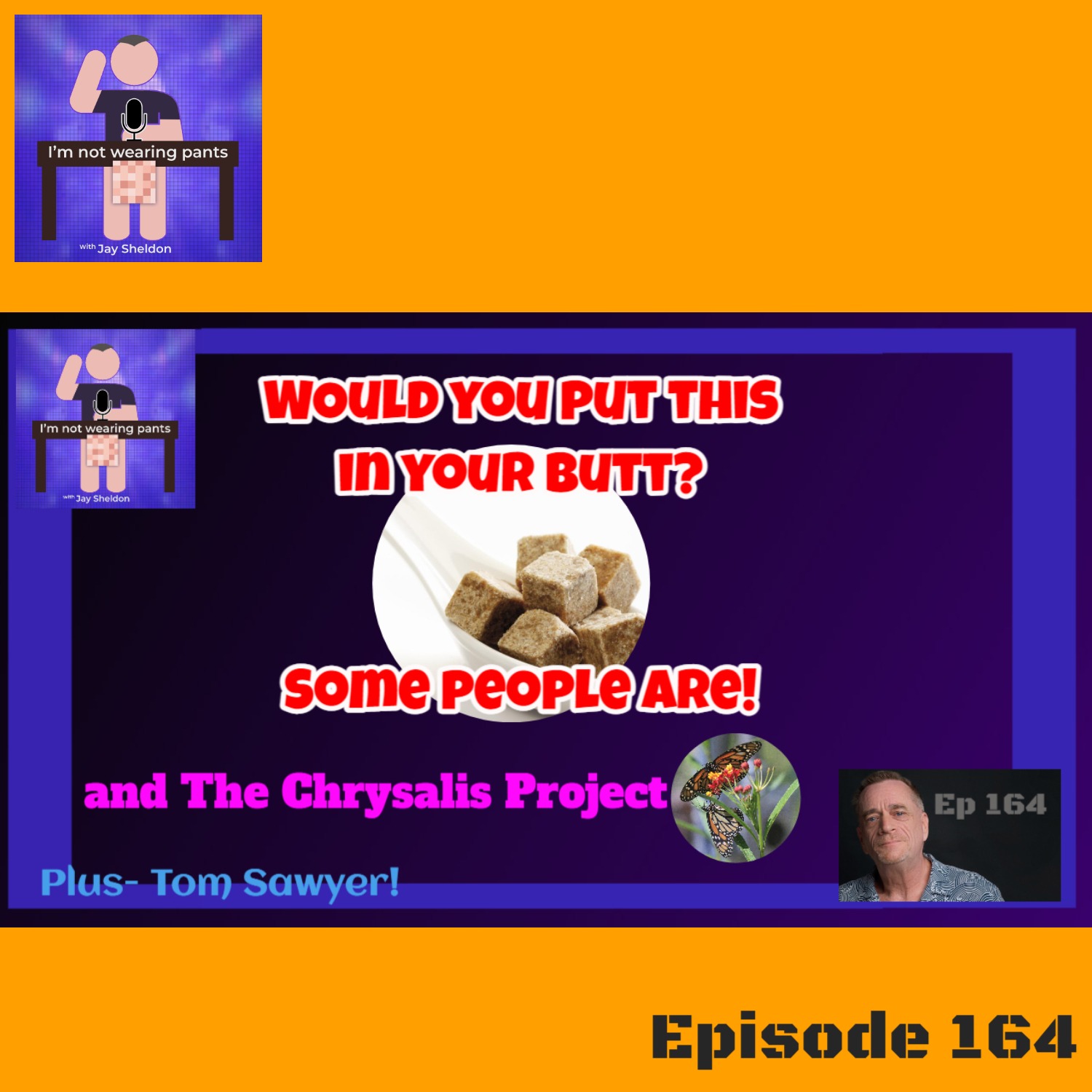 Putting flavor cubes in your butt?! + The Chrysalis Project episode artwork