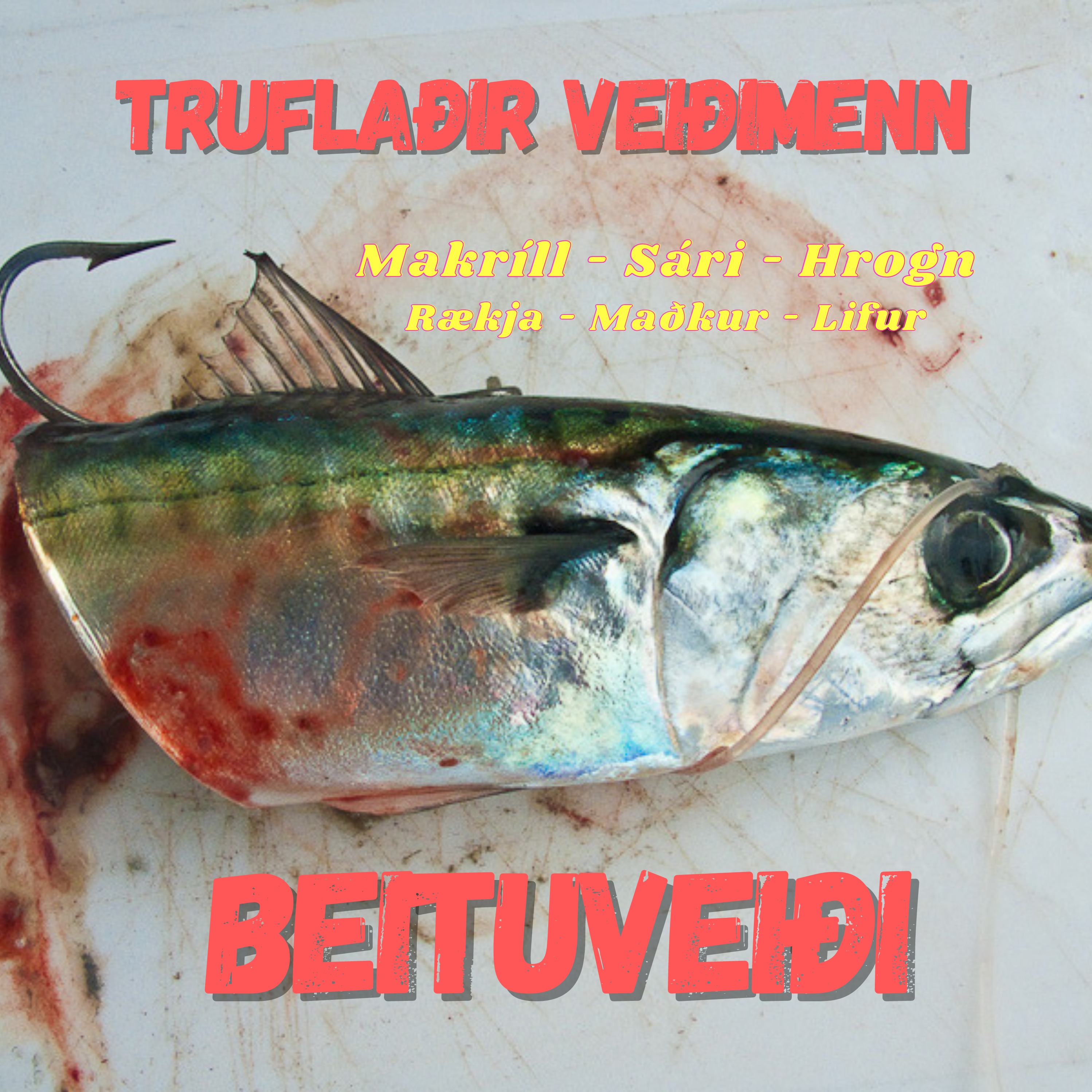 Dagbók urriða - Truflaðir veiðimenn - Áskrift.