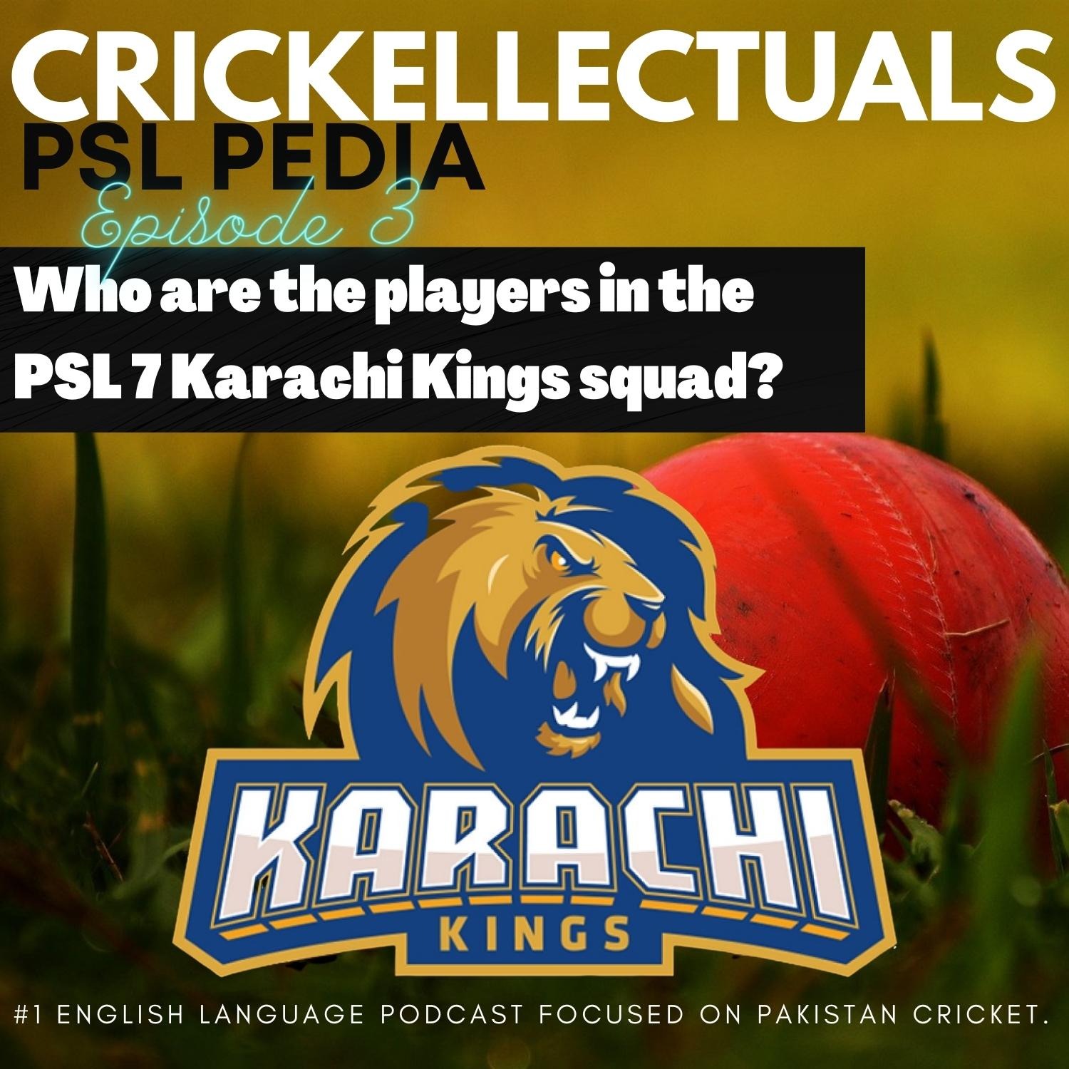 Crickellectuals A Pakistan Cricket Podcast