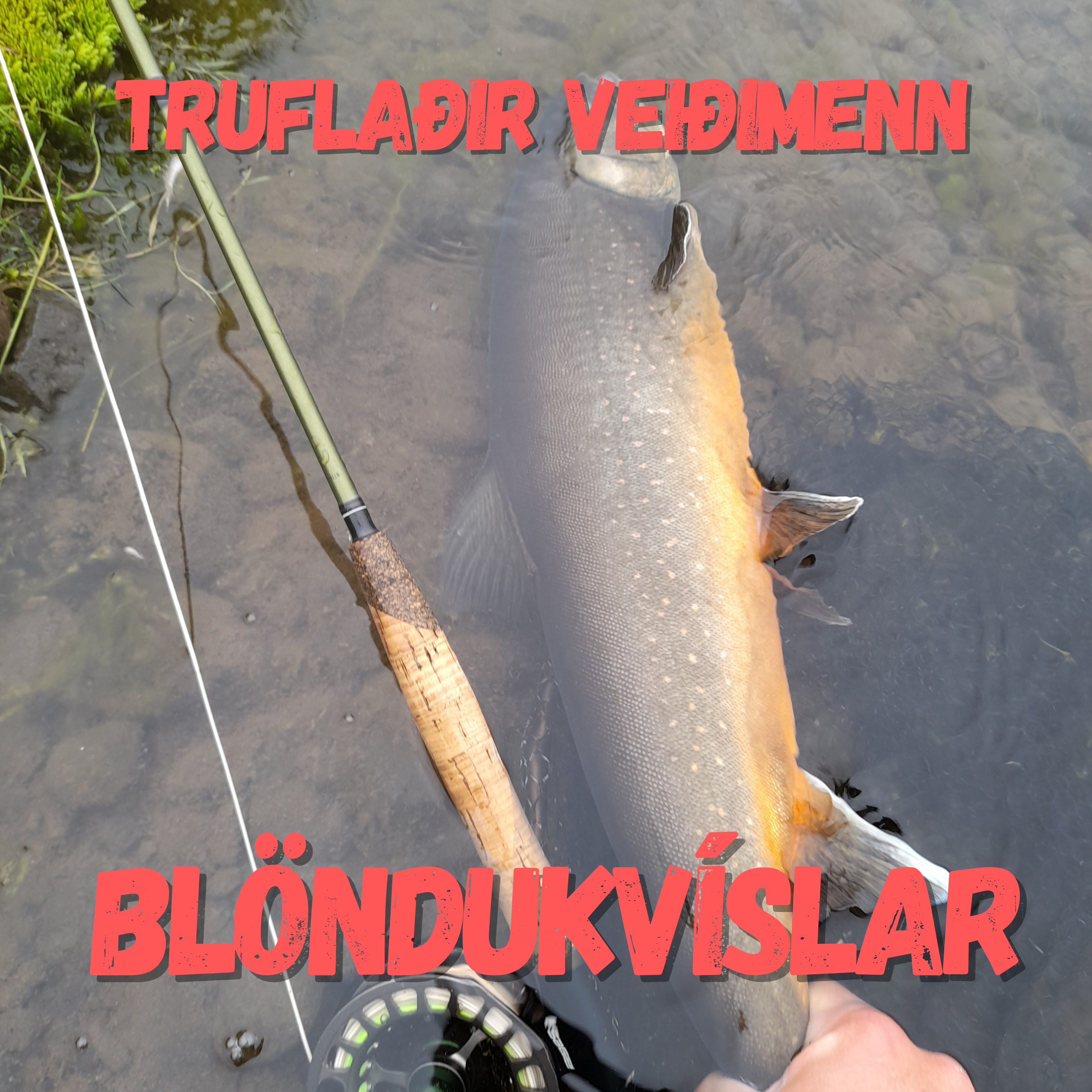 Dagbók urriða - Truflaðir veiðimenn - Áskrift.