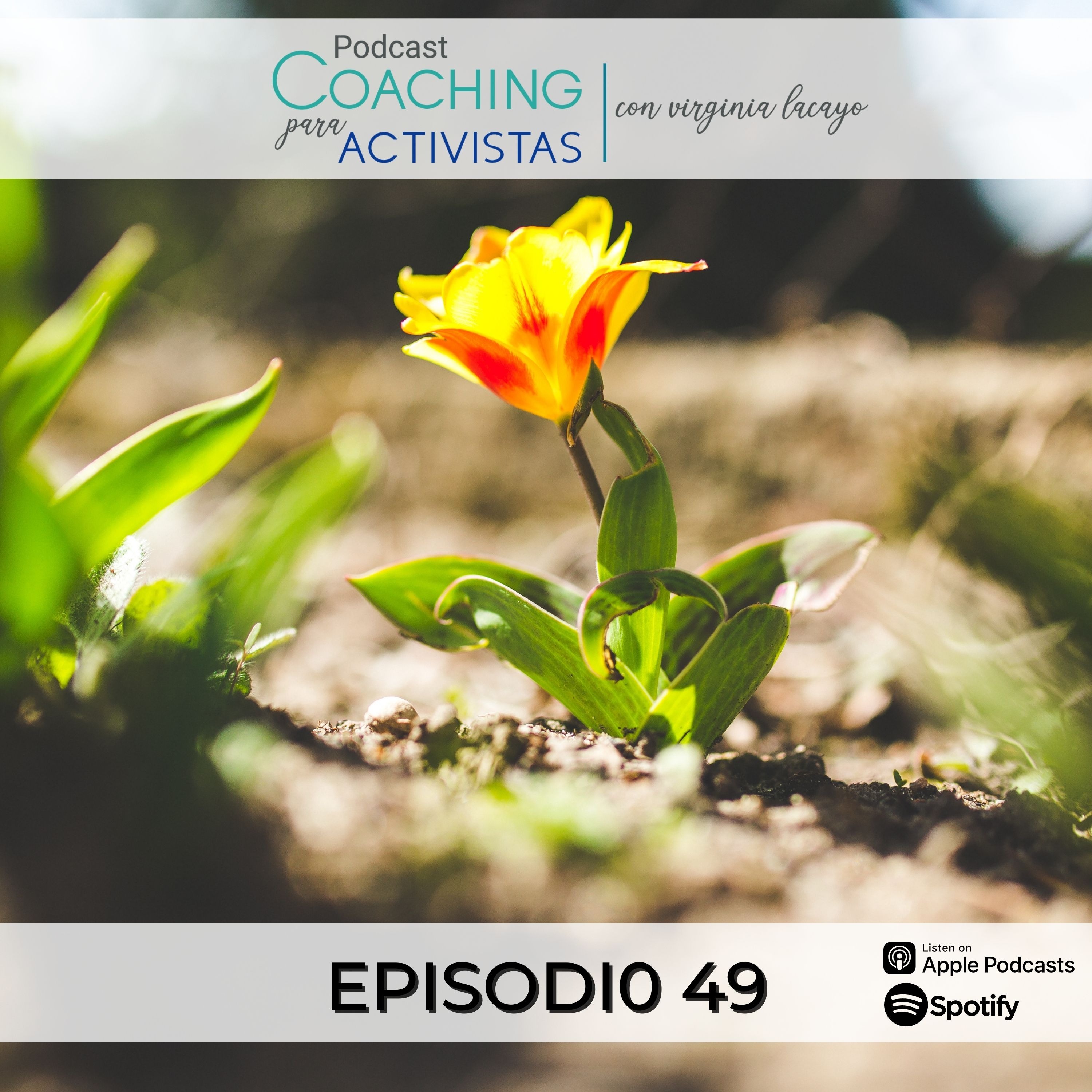 Indomable - Podcast con Virginia Lacayo