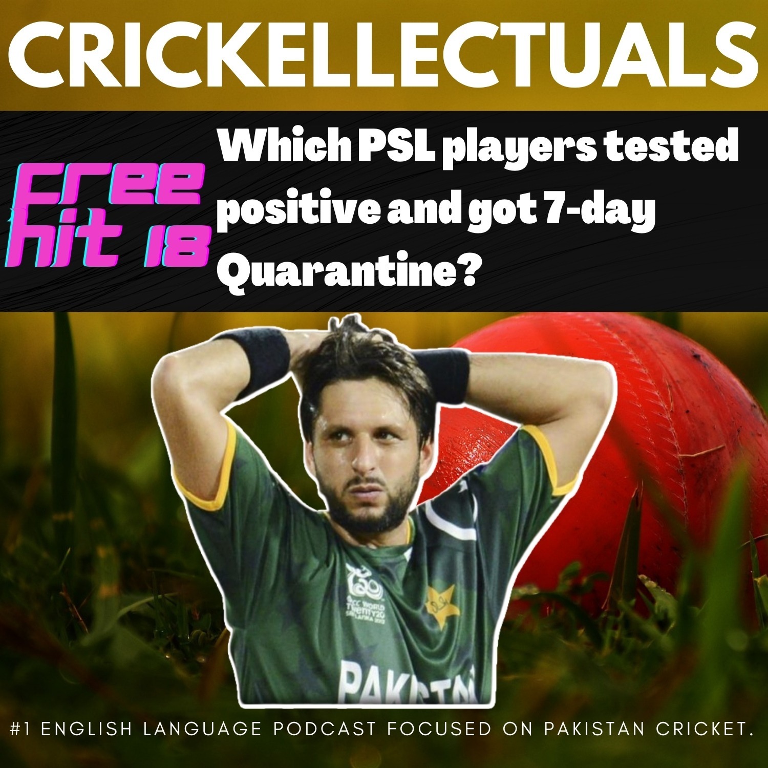 Crickellectuals A Pakistan Cricket Podcast