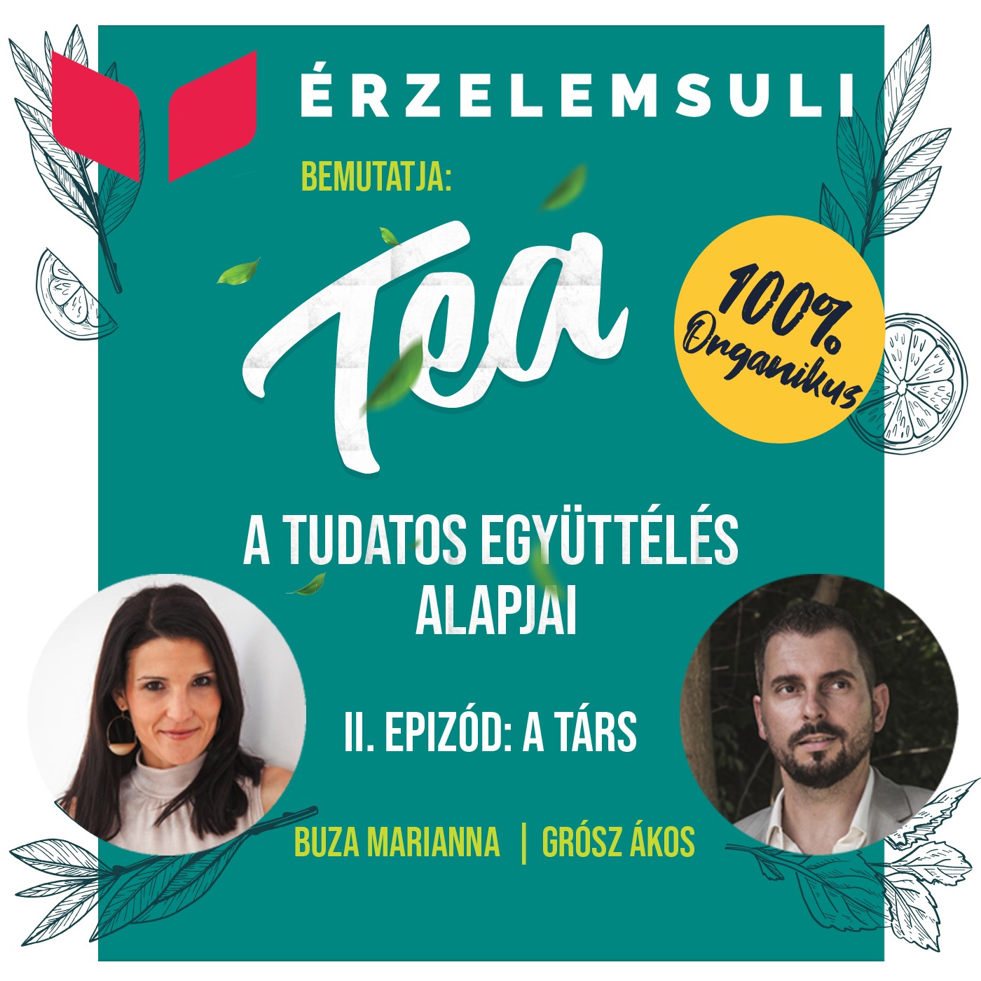 TEA 2. epizód: A Társ episode artwork