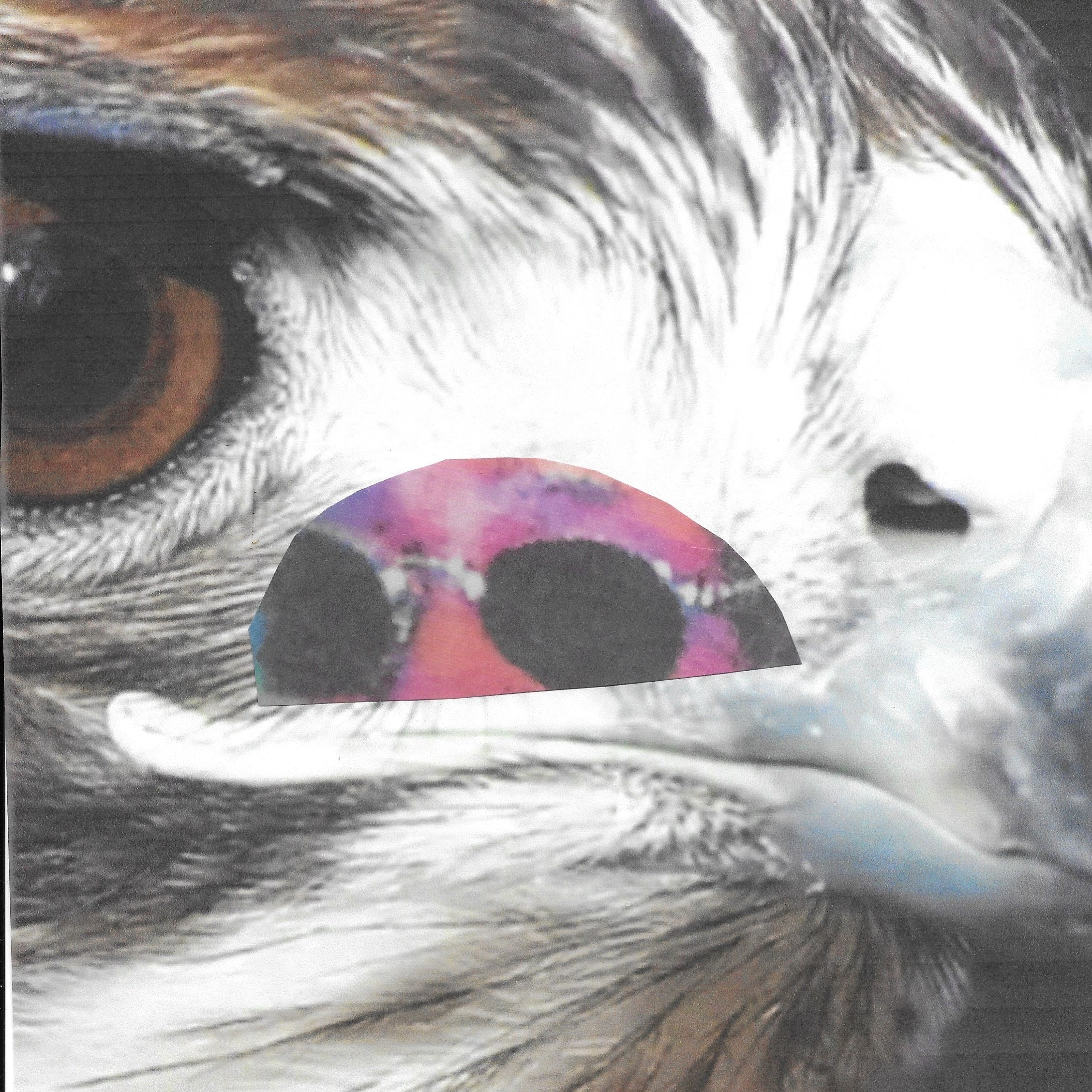 Audio Player Image