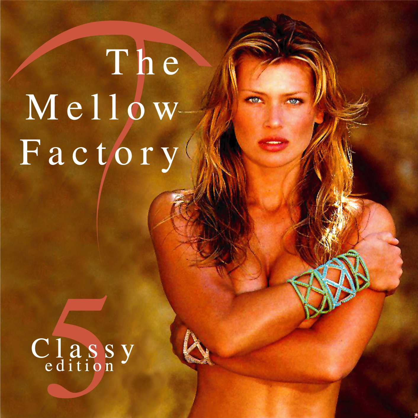 Stef Segers - The Mellow Factory part 5 - Classy Edition episode artwork
