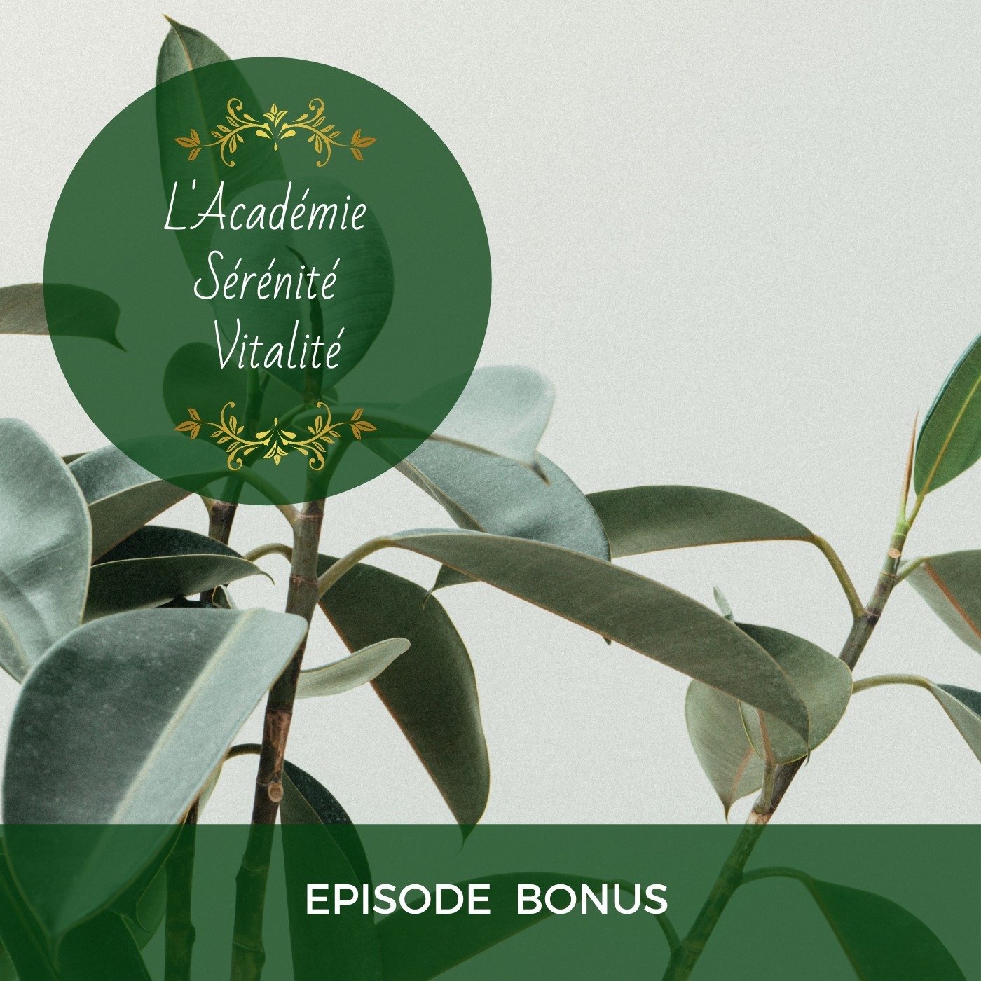 L\'Académie Sérénité Vitalité le podcast