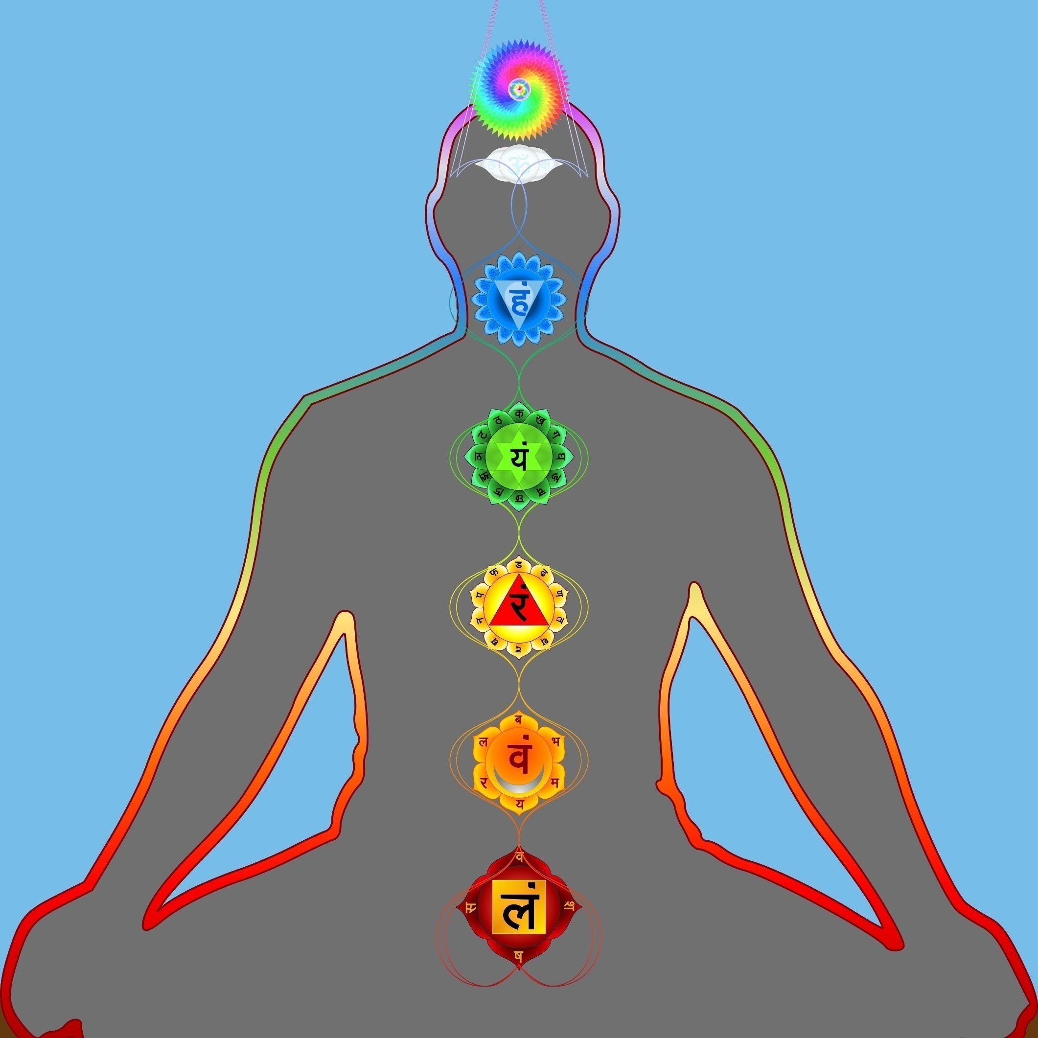 Mind, Body & Beyond