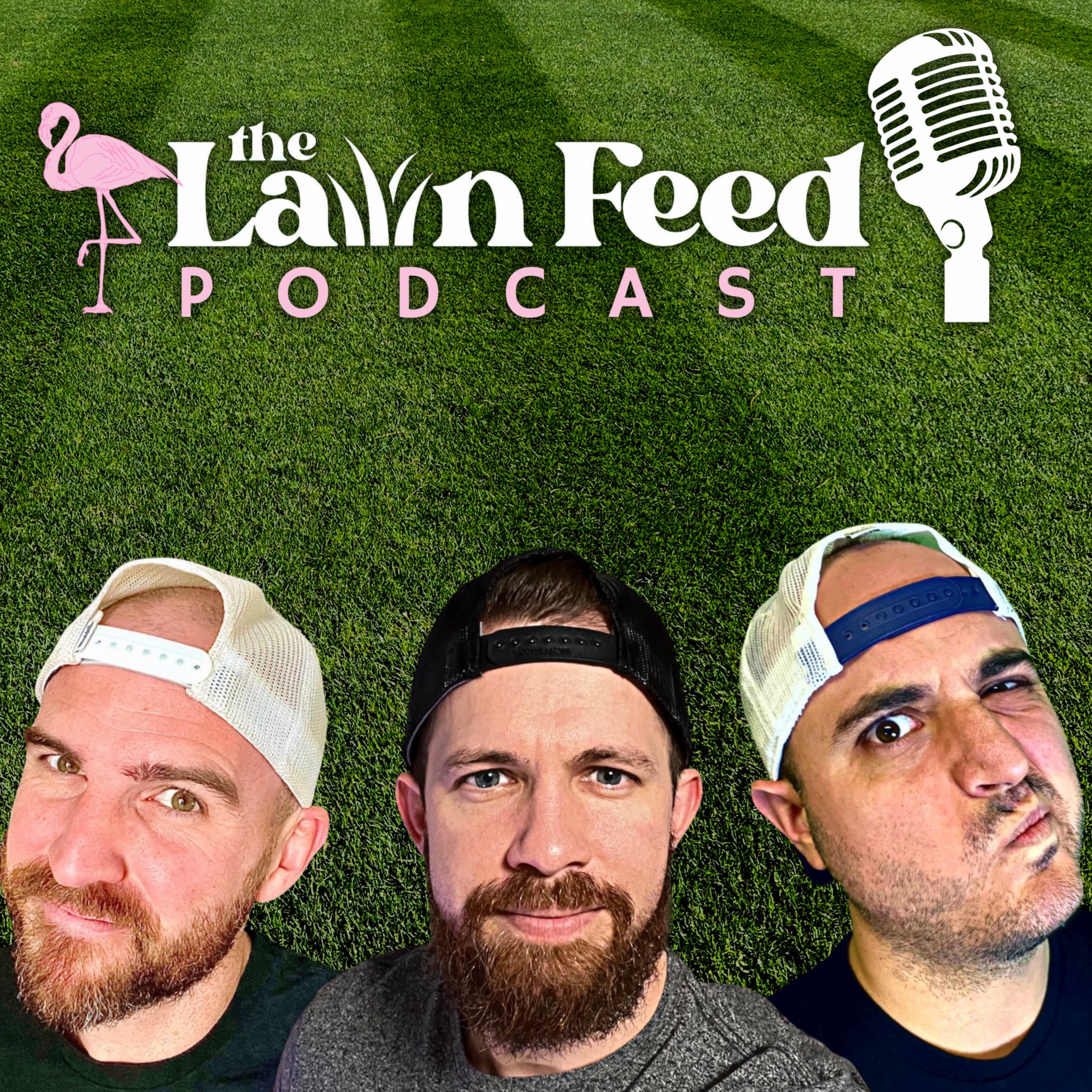 Episode 18 Fall Lawn Plans