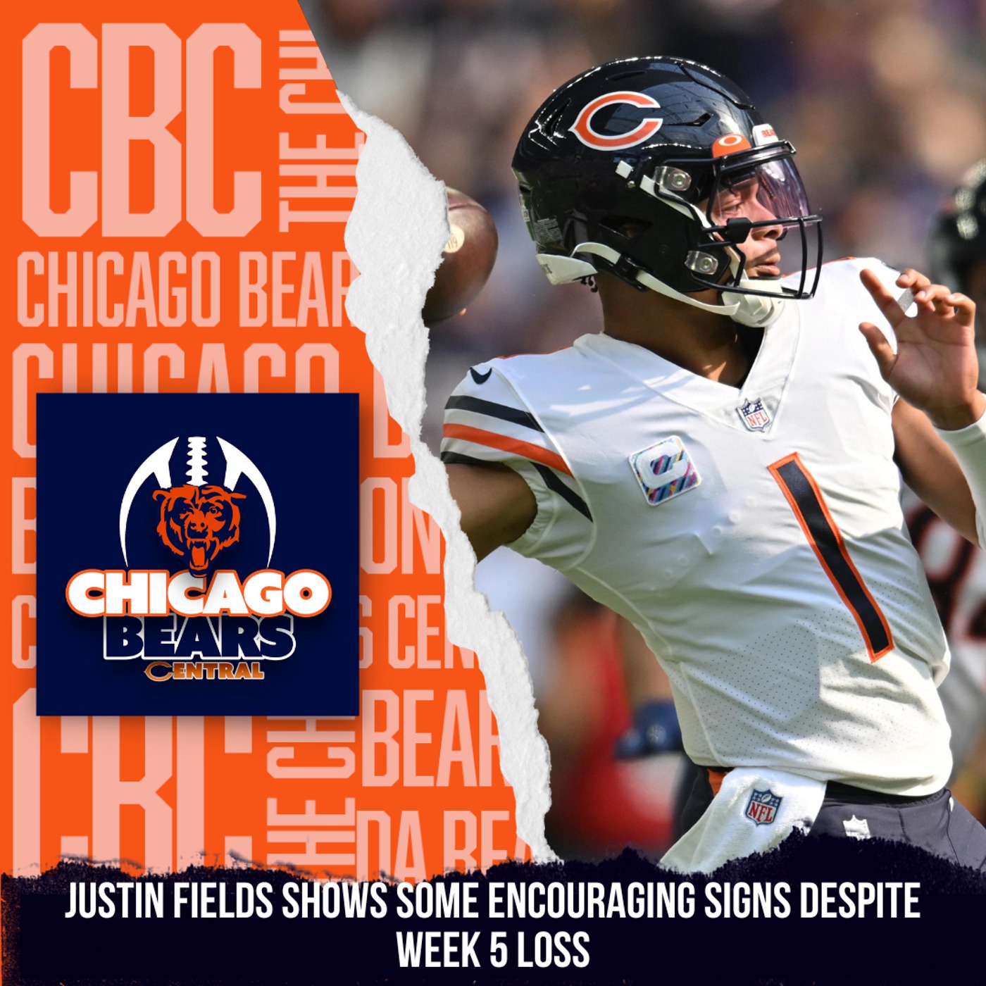 Takeaways From The Chicago Bears Loss To the Minnesota Vikings