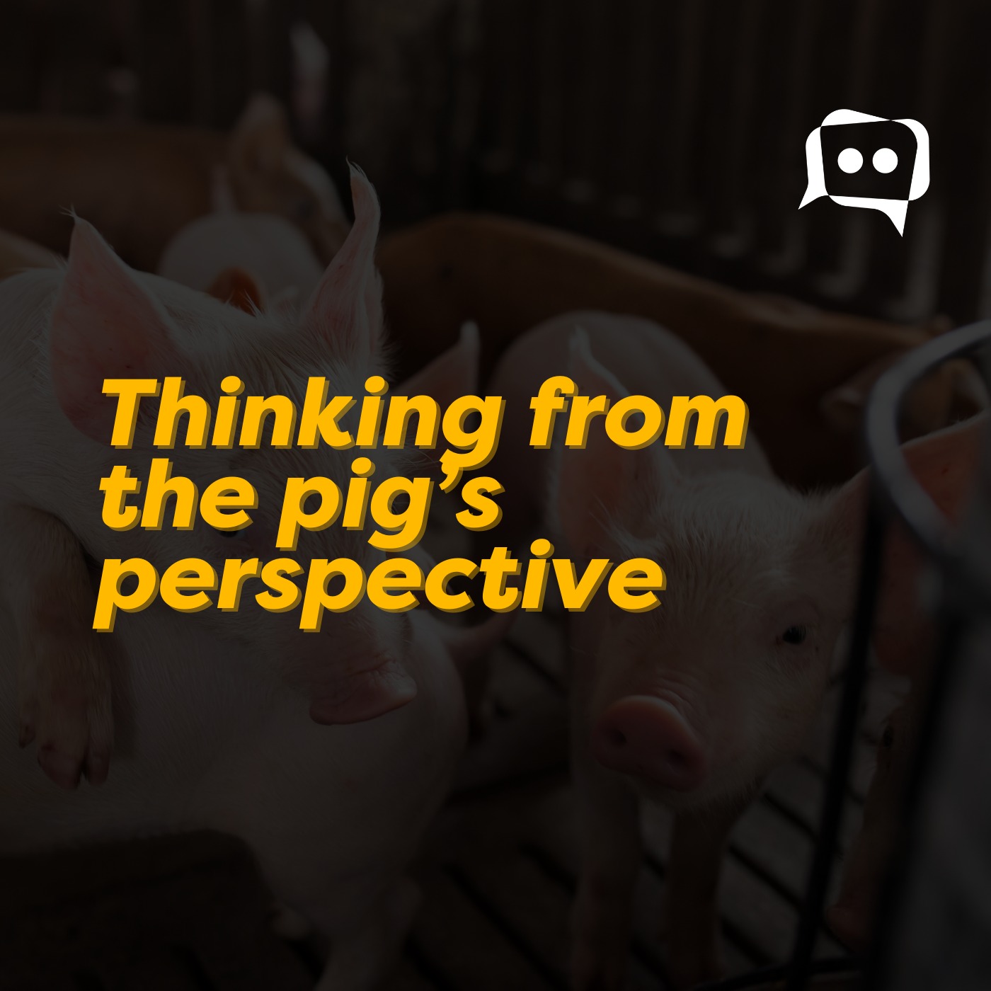 Thinking from the pig’s perspective episode artwork