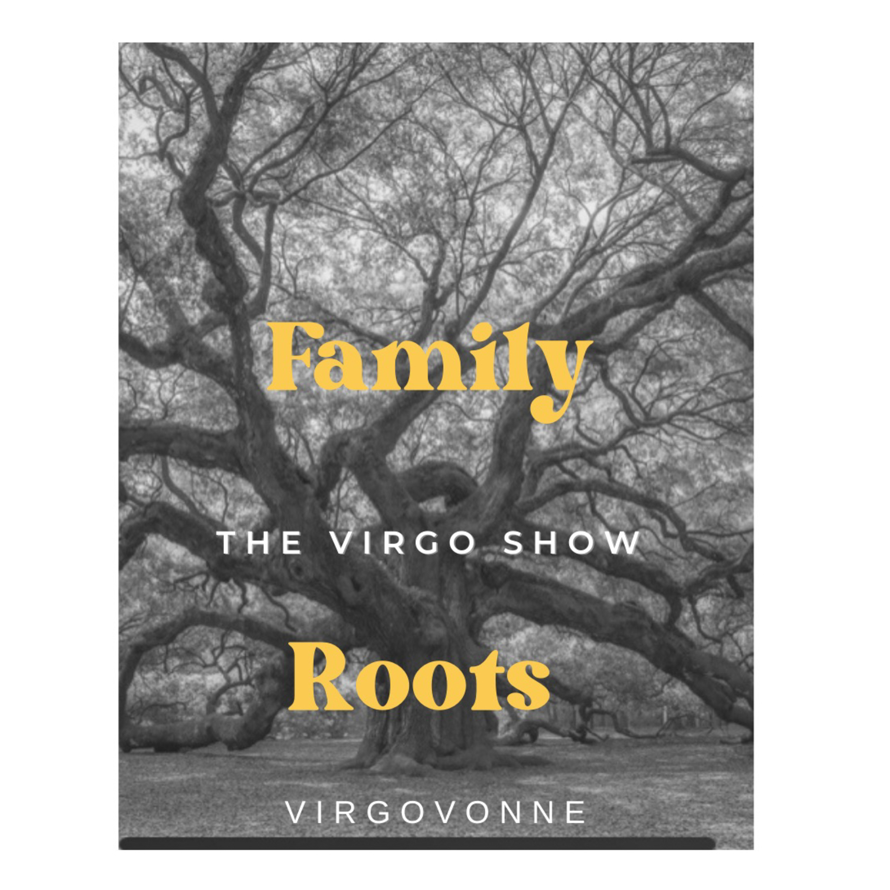 The Virgo Show