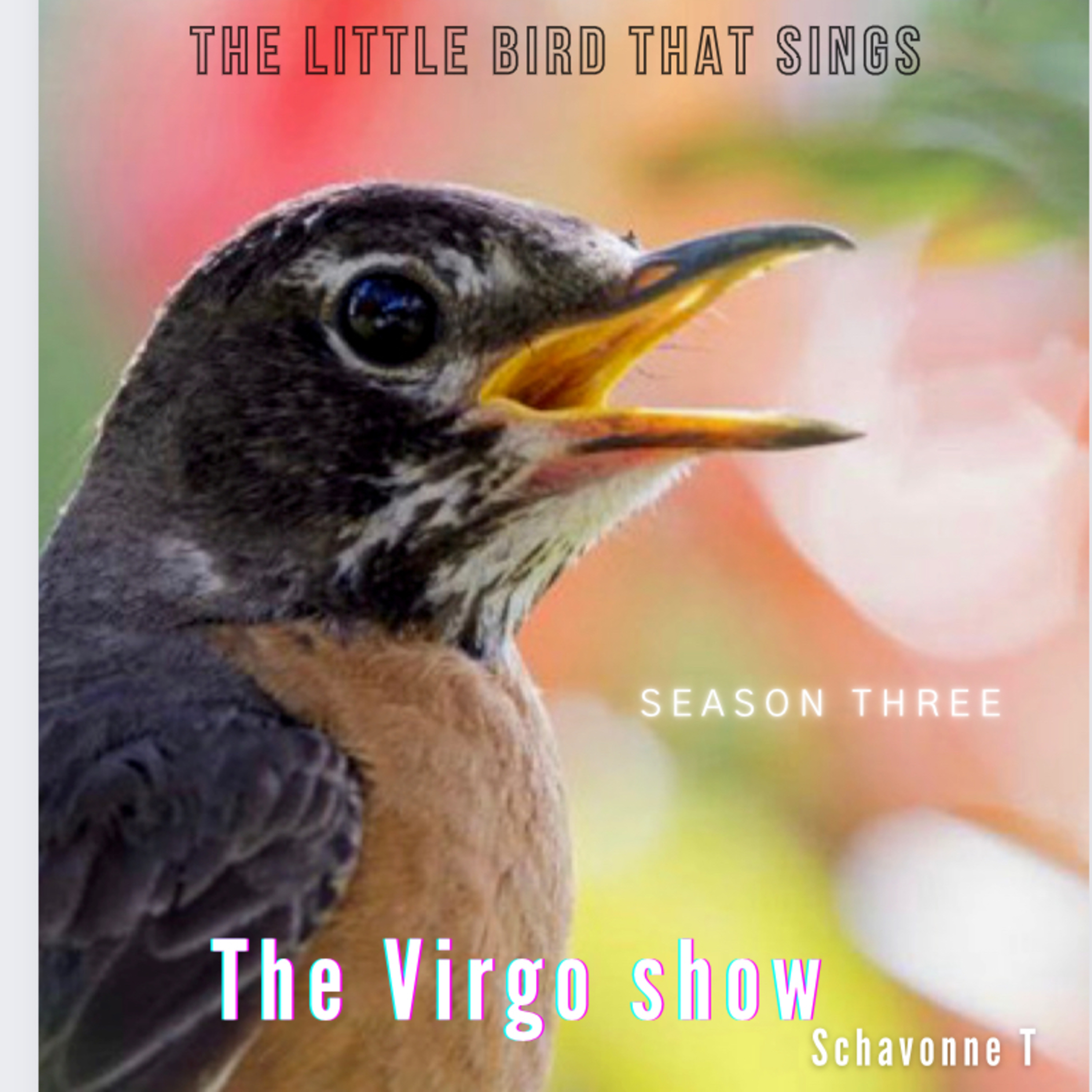 The Virgo Show