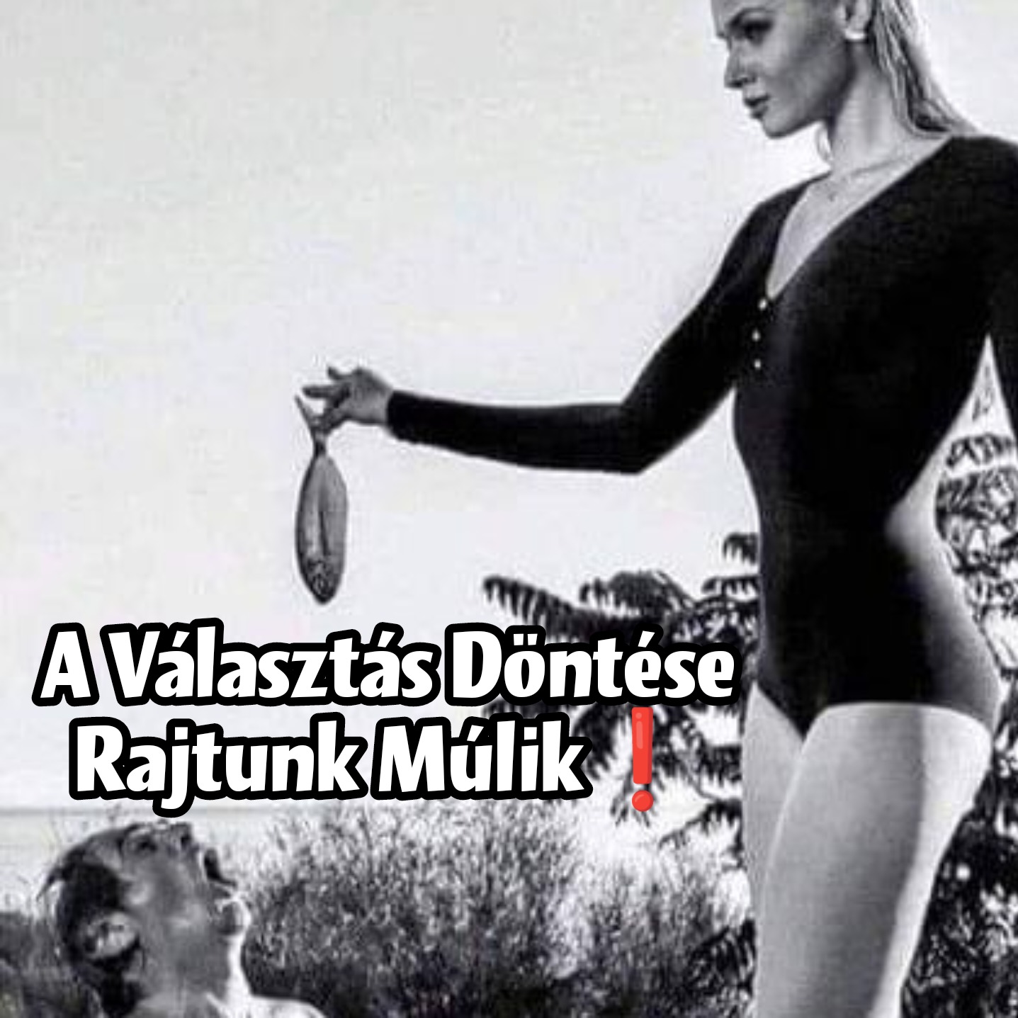 Új Mag