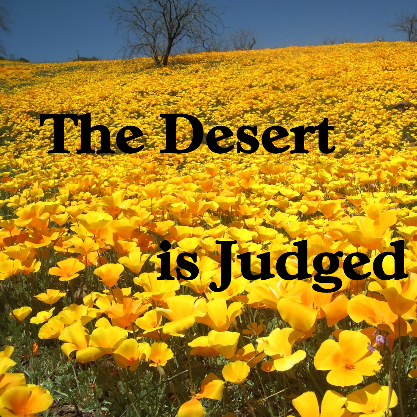 In Search of the Mystery of God