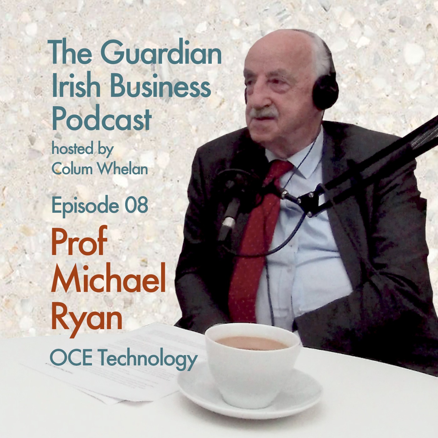 The Guardian Irish Business Podcast