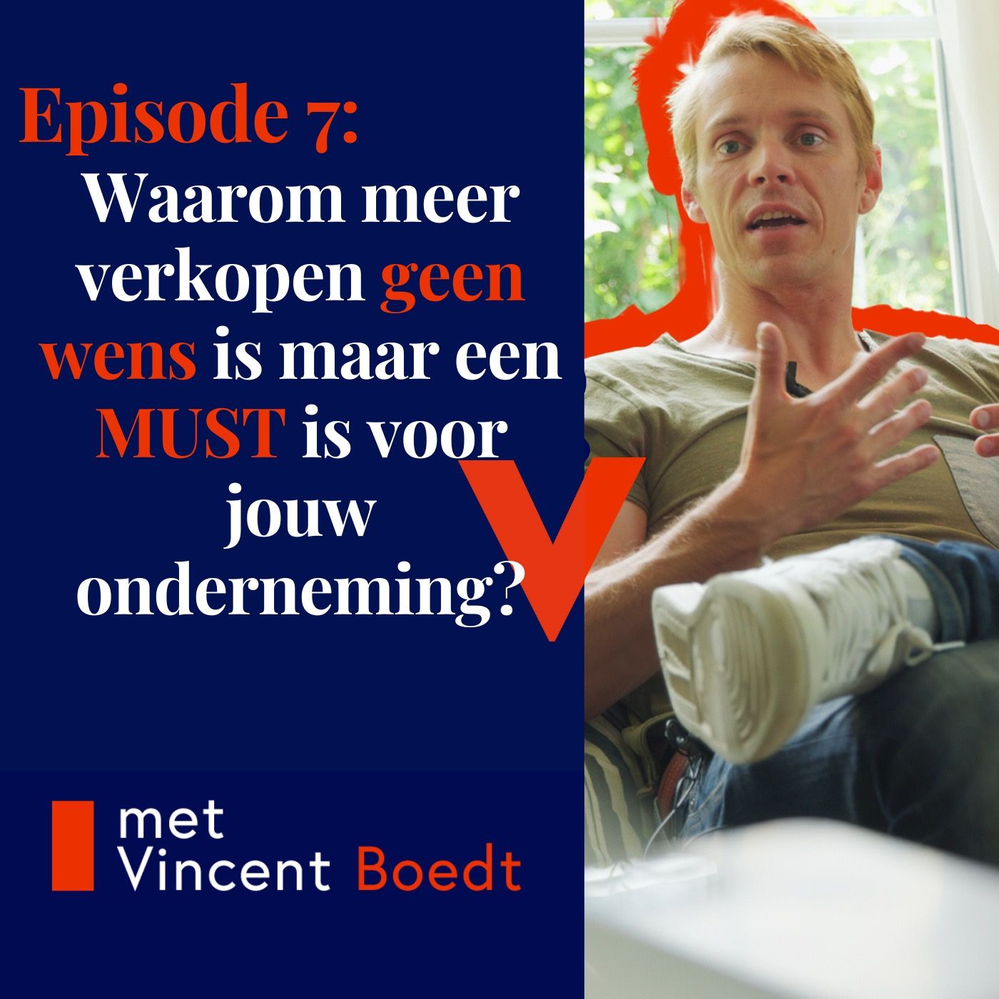 Sales Insights podcast van Vincent Boedt