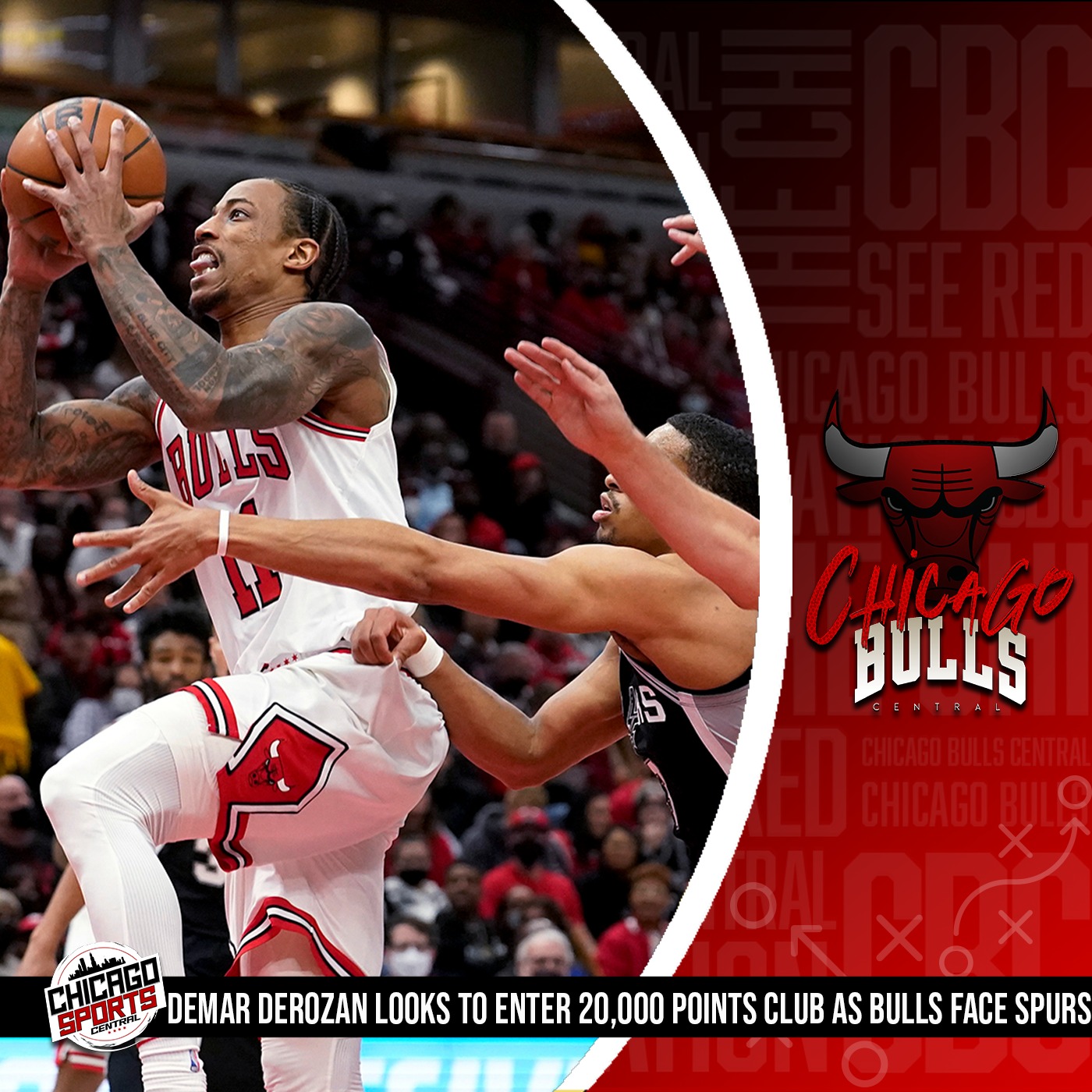 Chicago Bulls Central | RedCircle