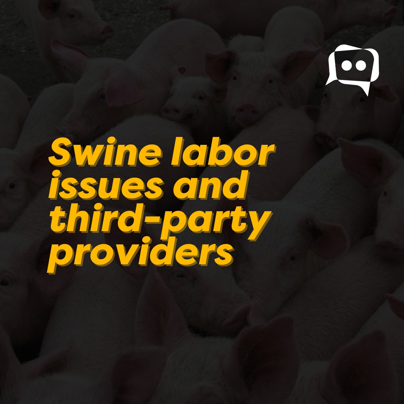 Swine labor issues and third-party providers episode artwork