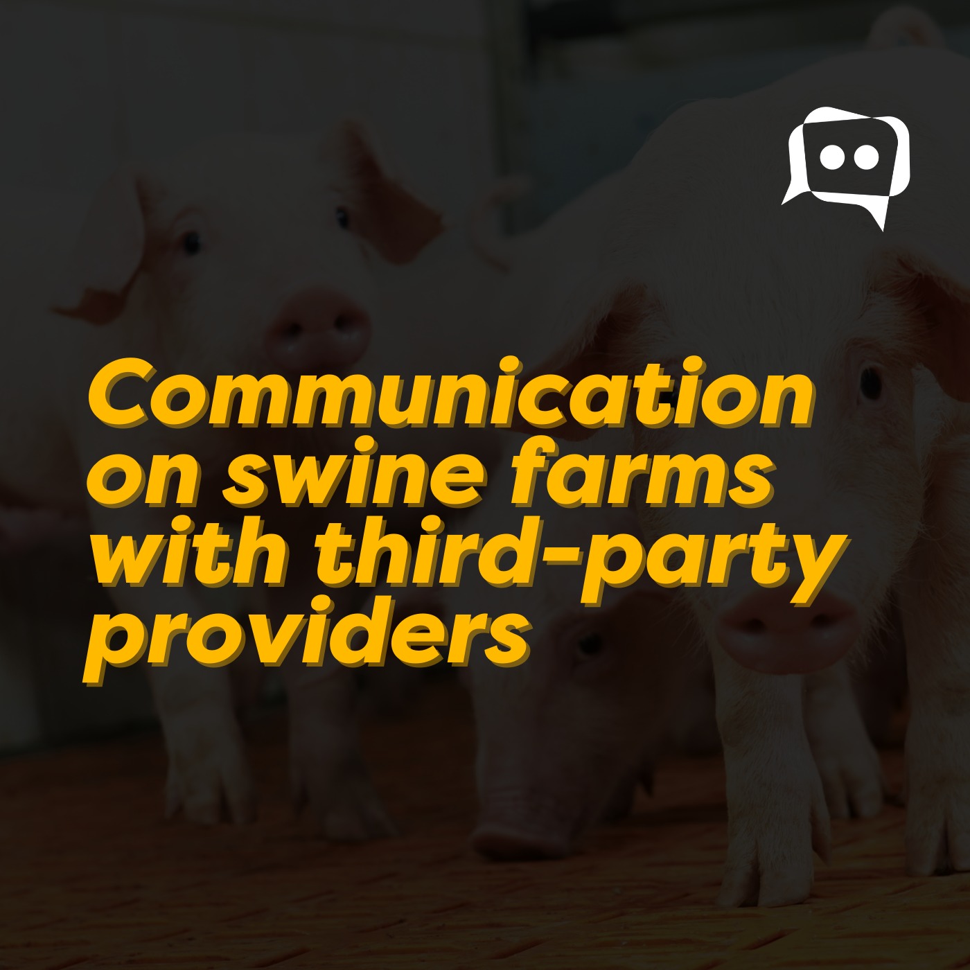 Communication on swine farms with third-party providers episode artwork
