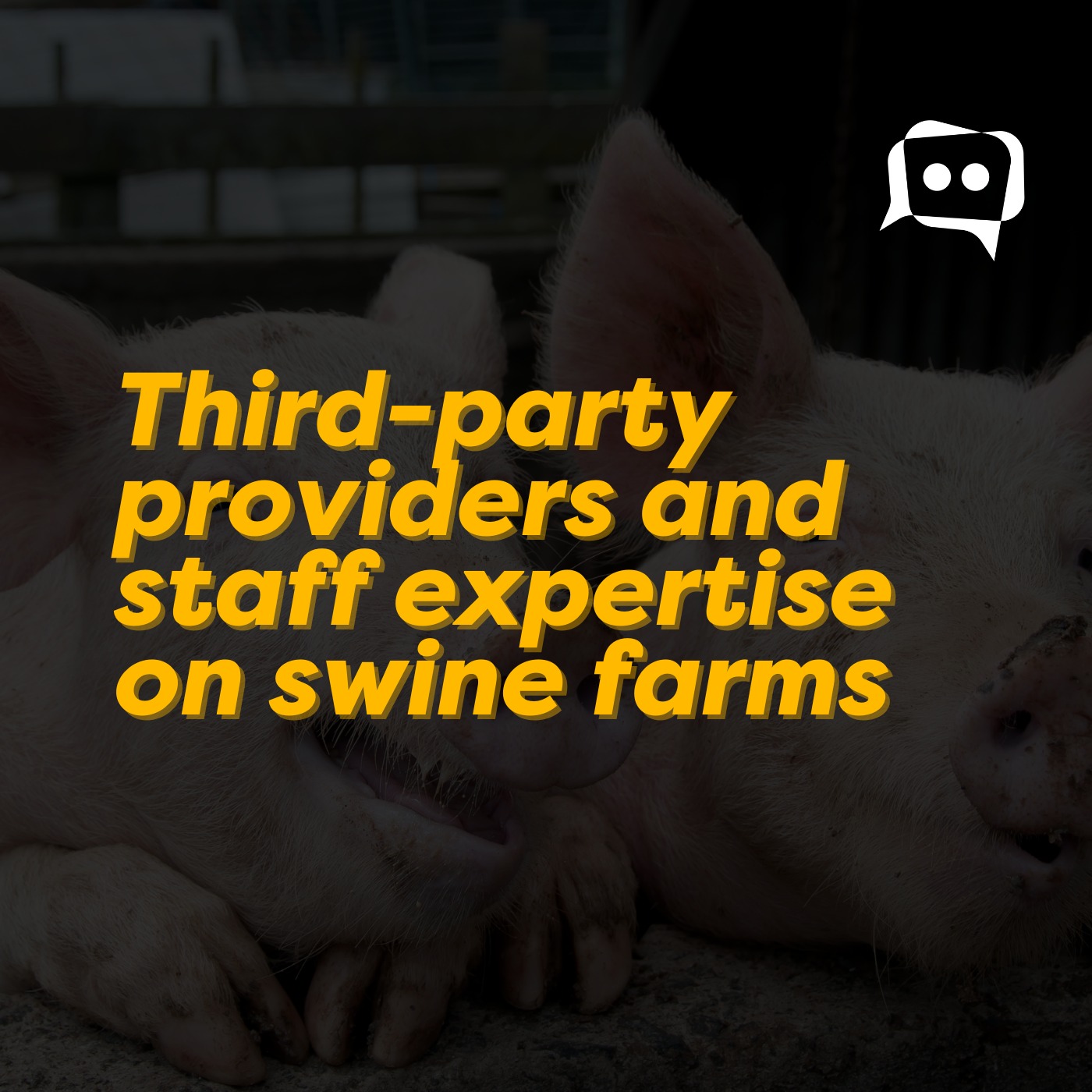 Third-party providers and staff expertise on swine farms episode artwork