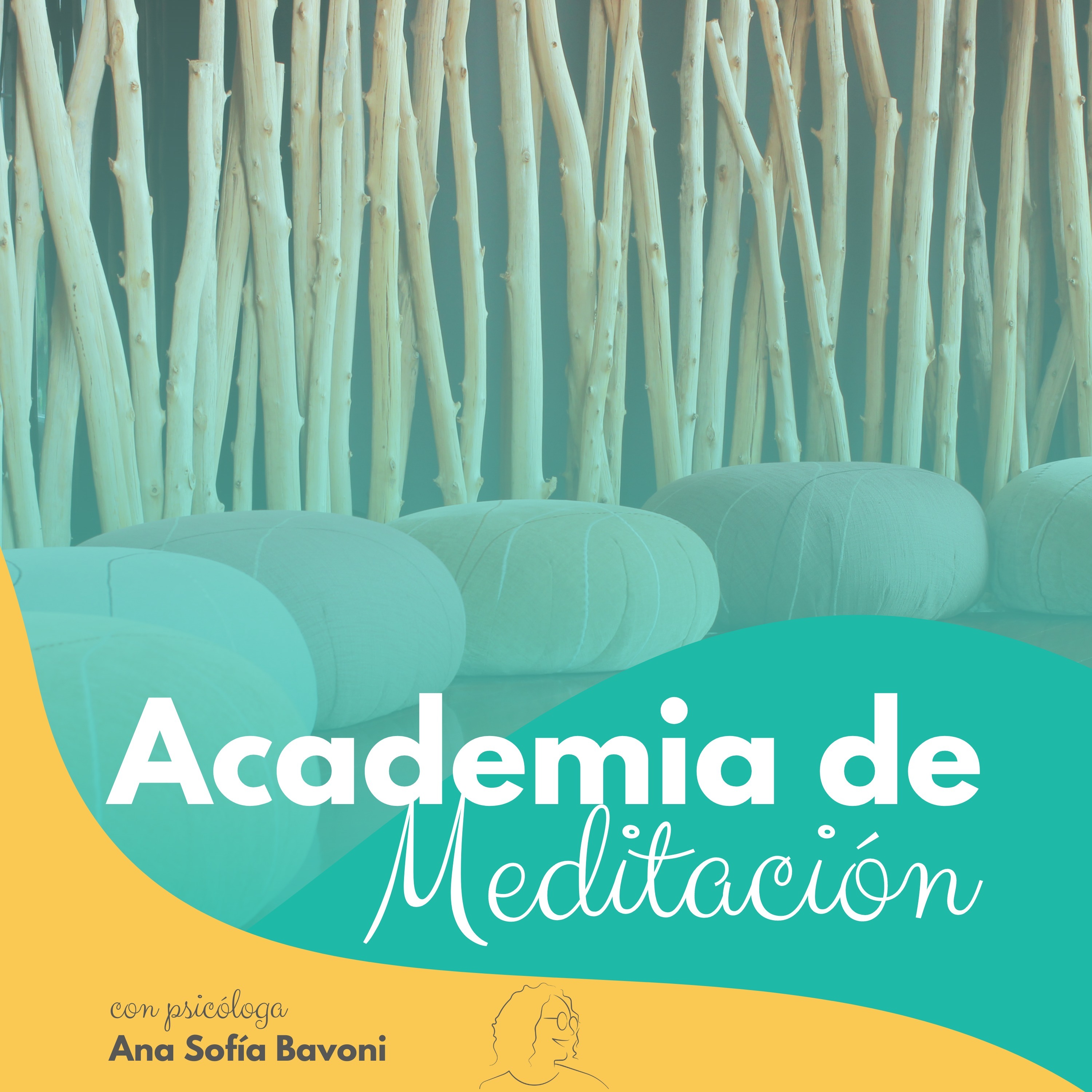 Academia de Meditación Mindfulness