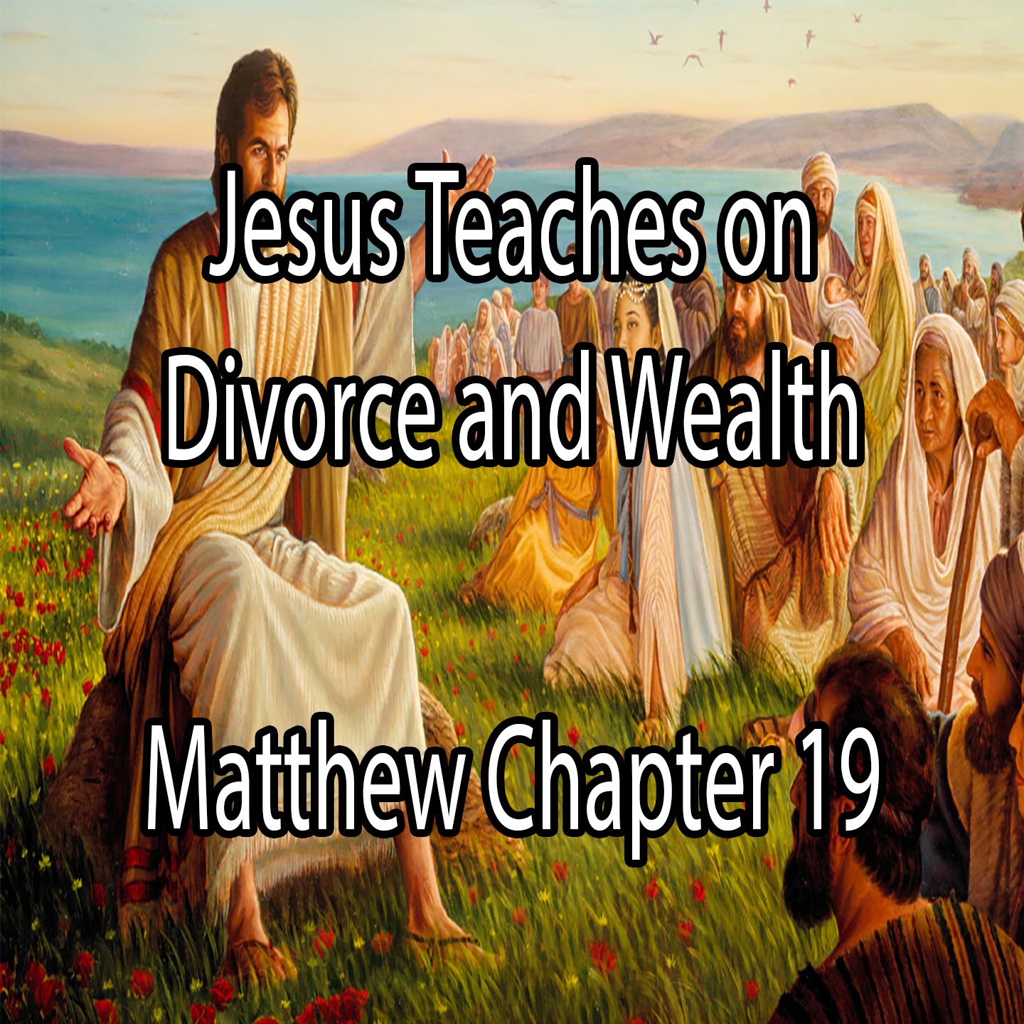 Jesus Teaches on Divorce and Wealth - Matthew Chapter 19 episode artwork