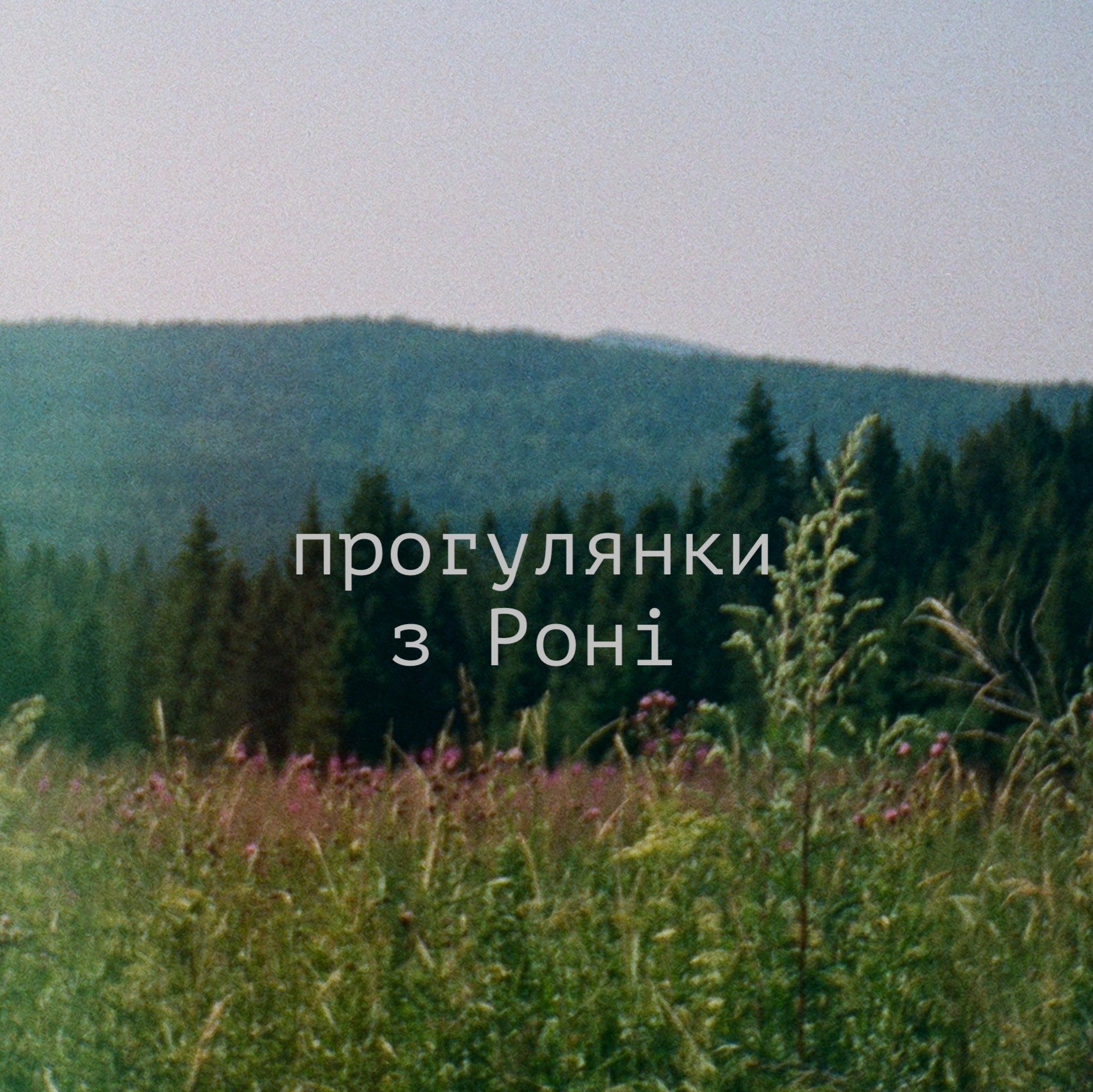 Audio Player Image