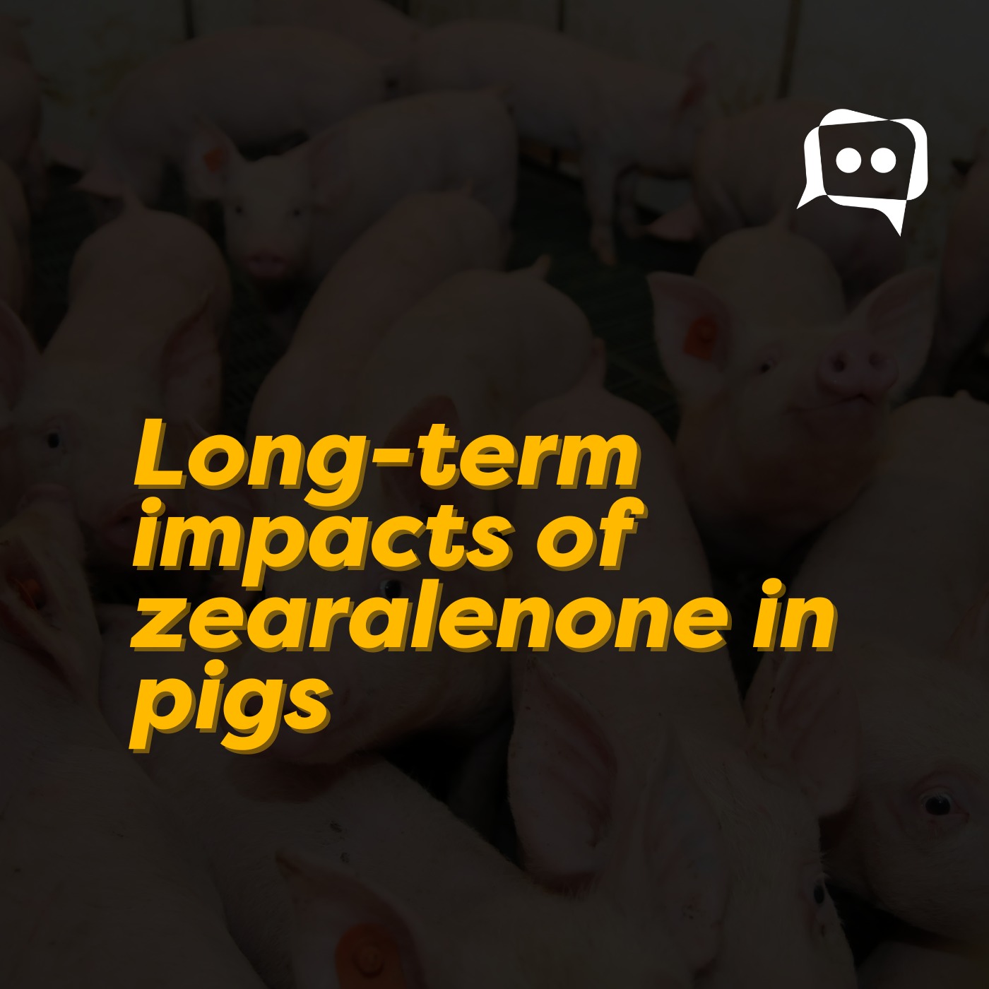 Long-term impacts of zearalenone in pigs episode artwork