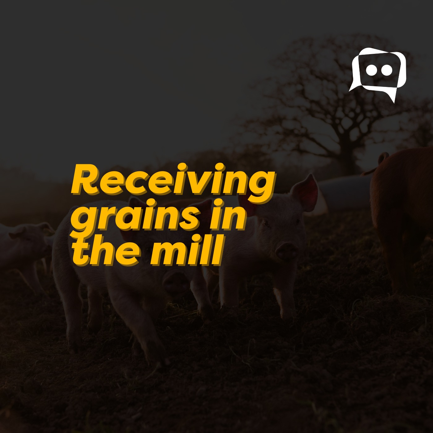 Receiving grains in the mill episode artwork