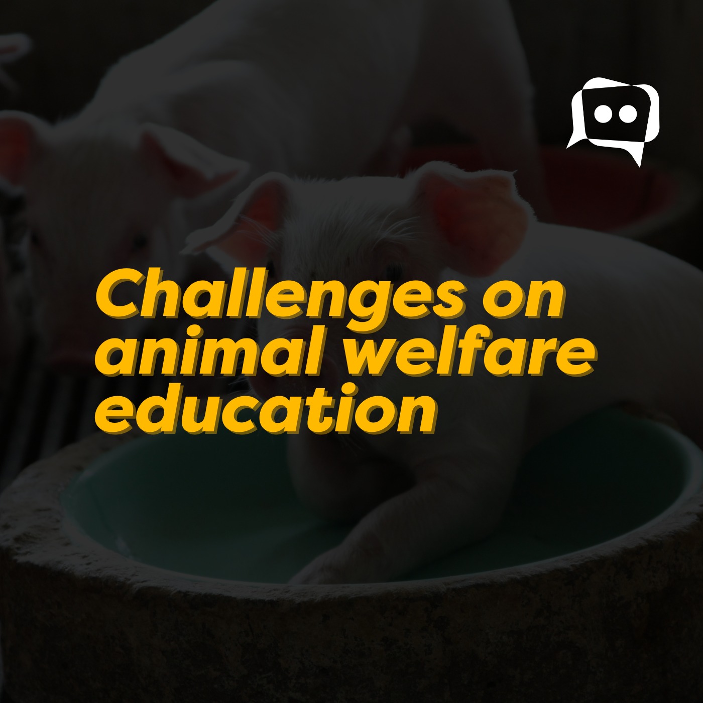 Challenges on animal welfare education episode artwork