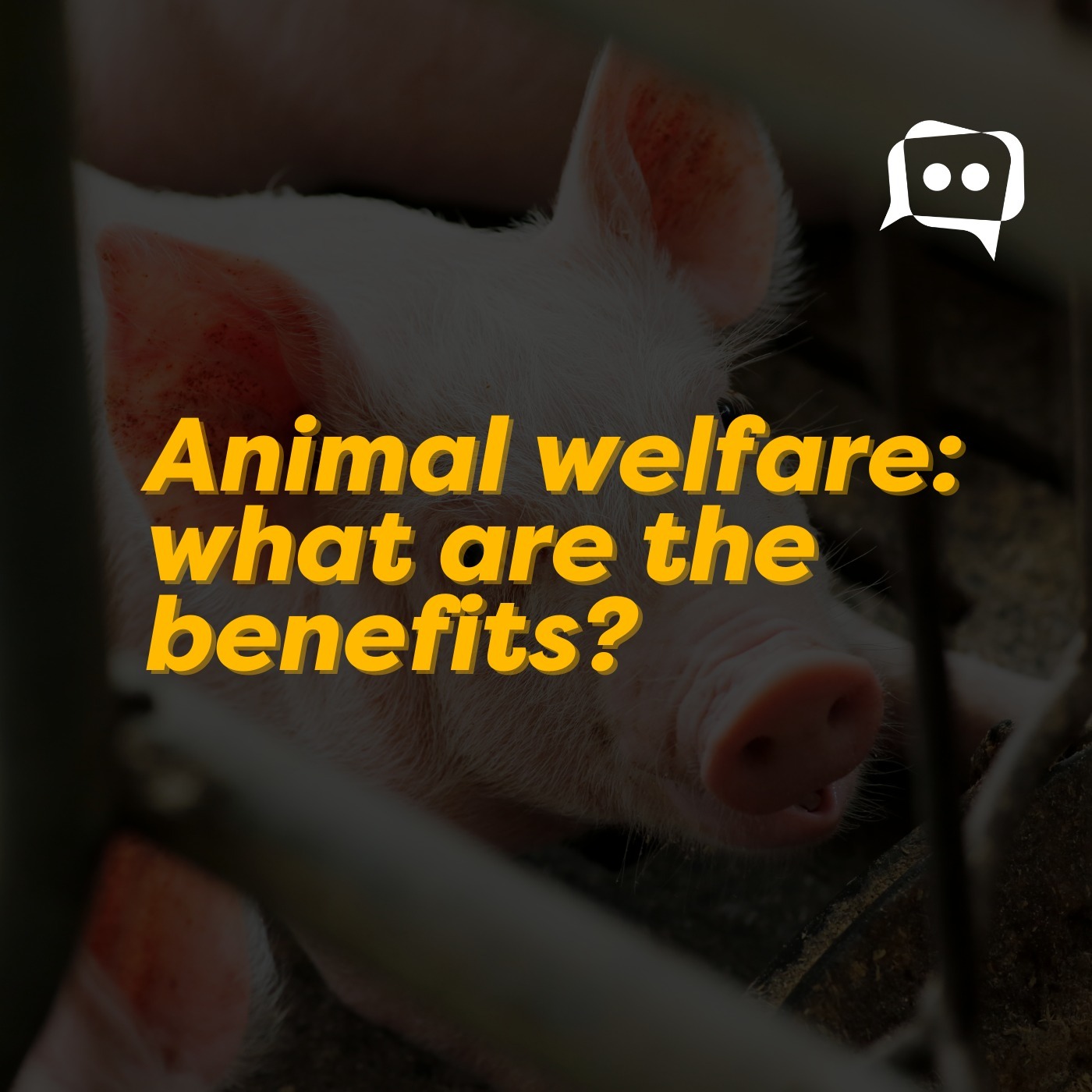 Animal welfare: what are the benefits? episode artwork